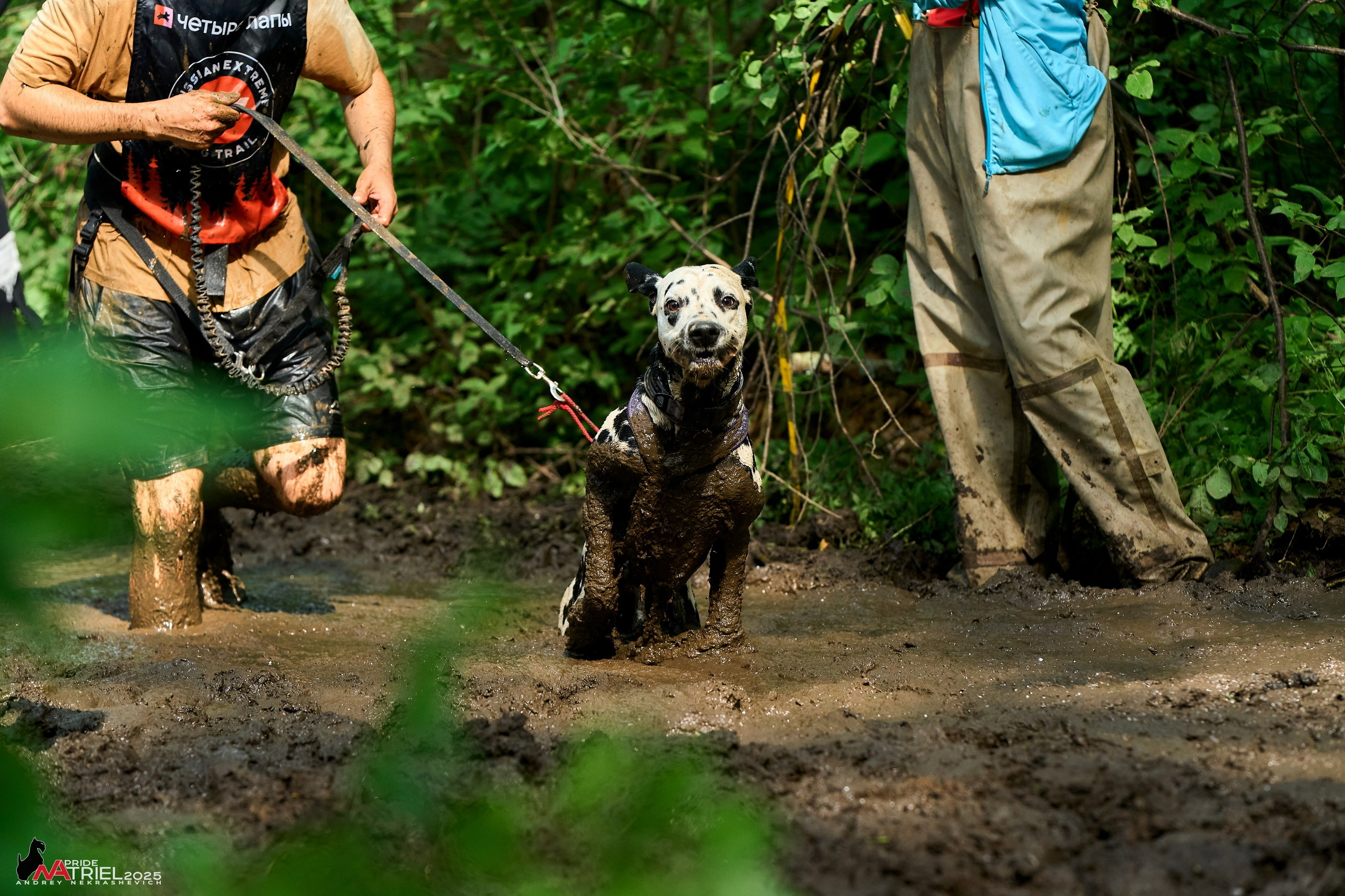Russian Extreme Dog Trail — 2025