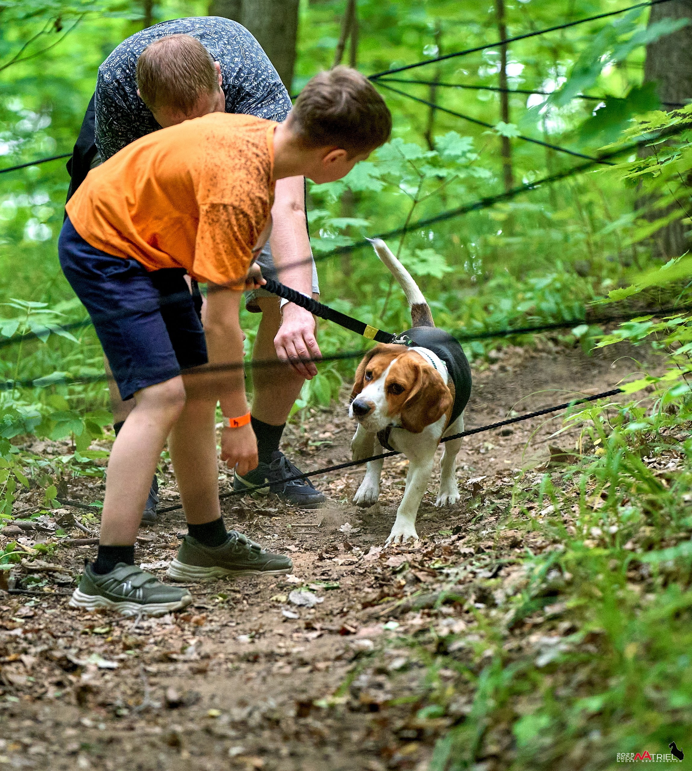 Russian Extreme Dog Trail — 2025