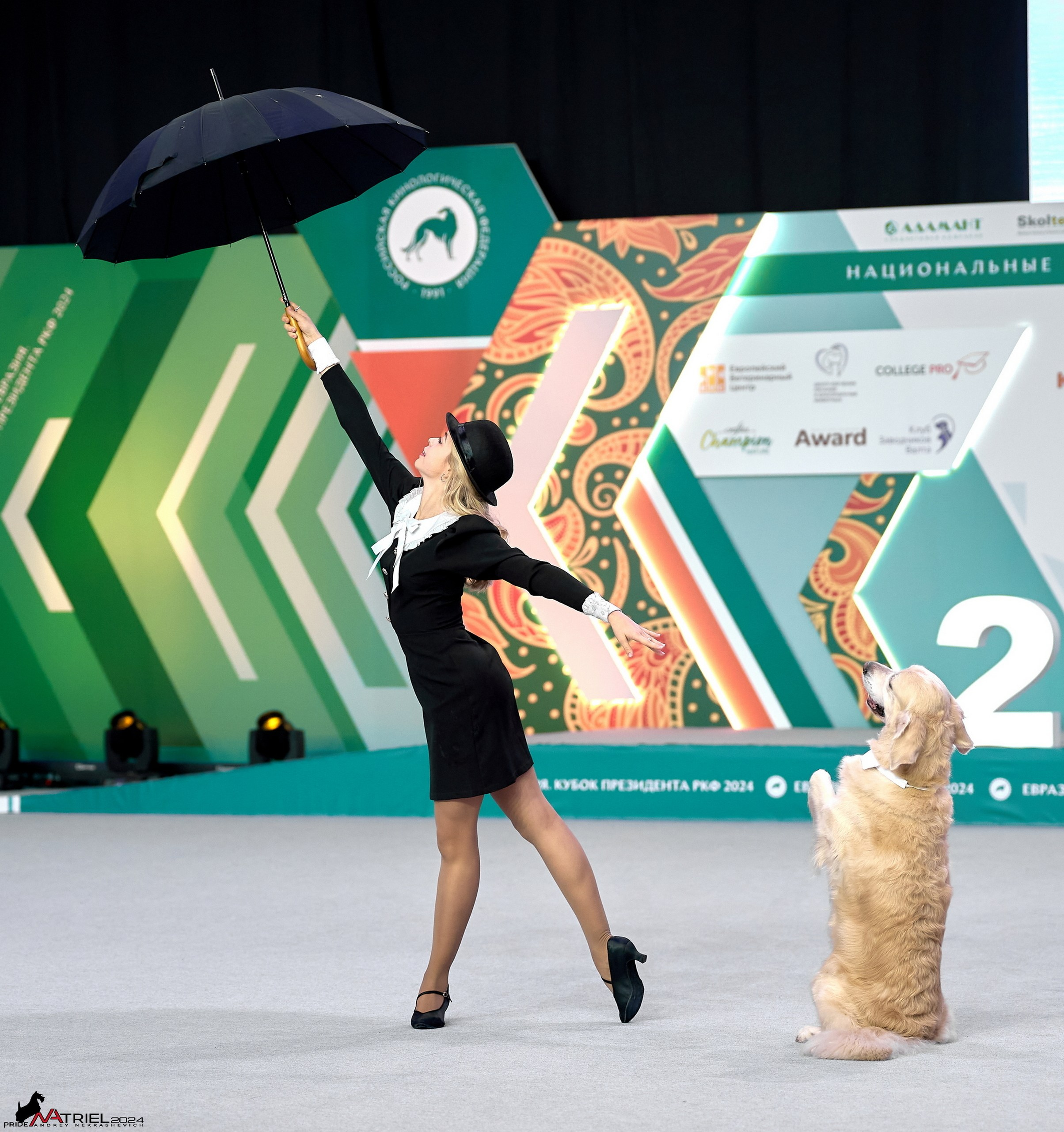 Обидиенс и танцы с собаками — галерея NATRIEL