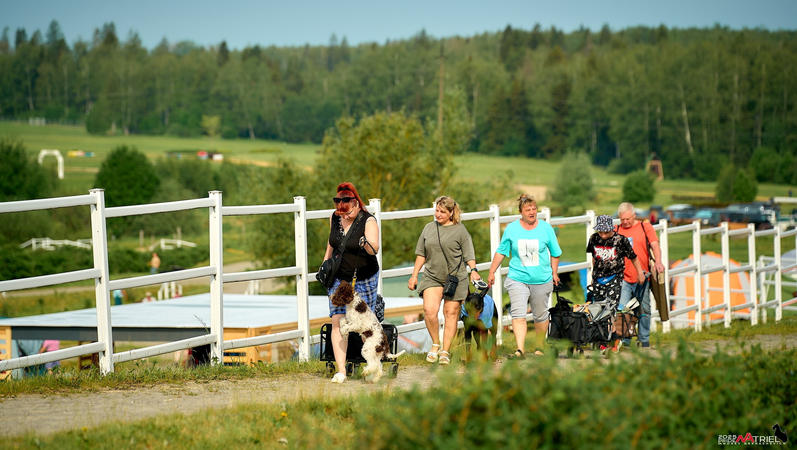 Выставка собак РОССИЯ — 2025