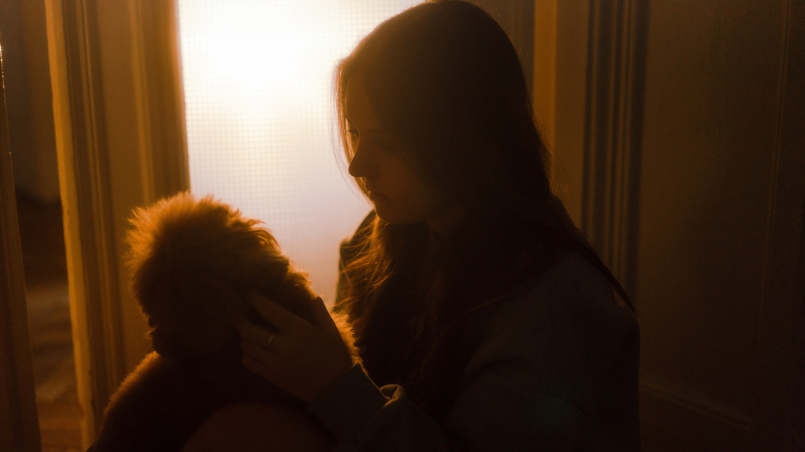 Маша, Одди и Нэвил. Фотограф-анималист Богданова Полина