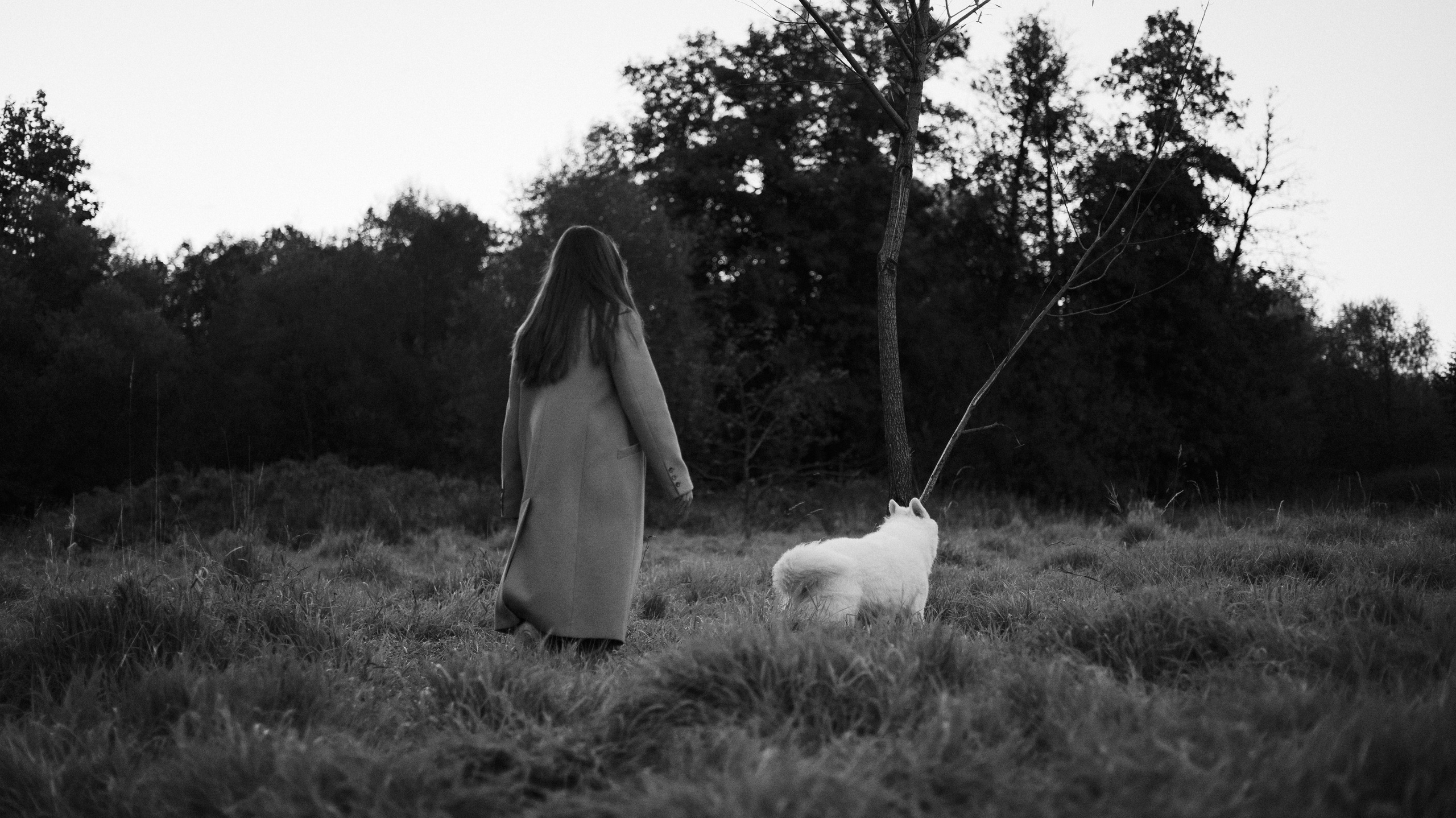 Вика и Уля. Фотограф-анималист Богданова Полина