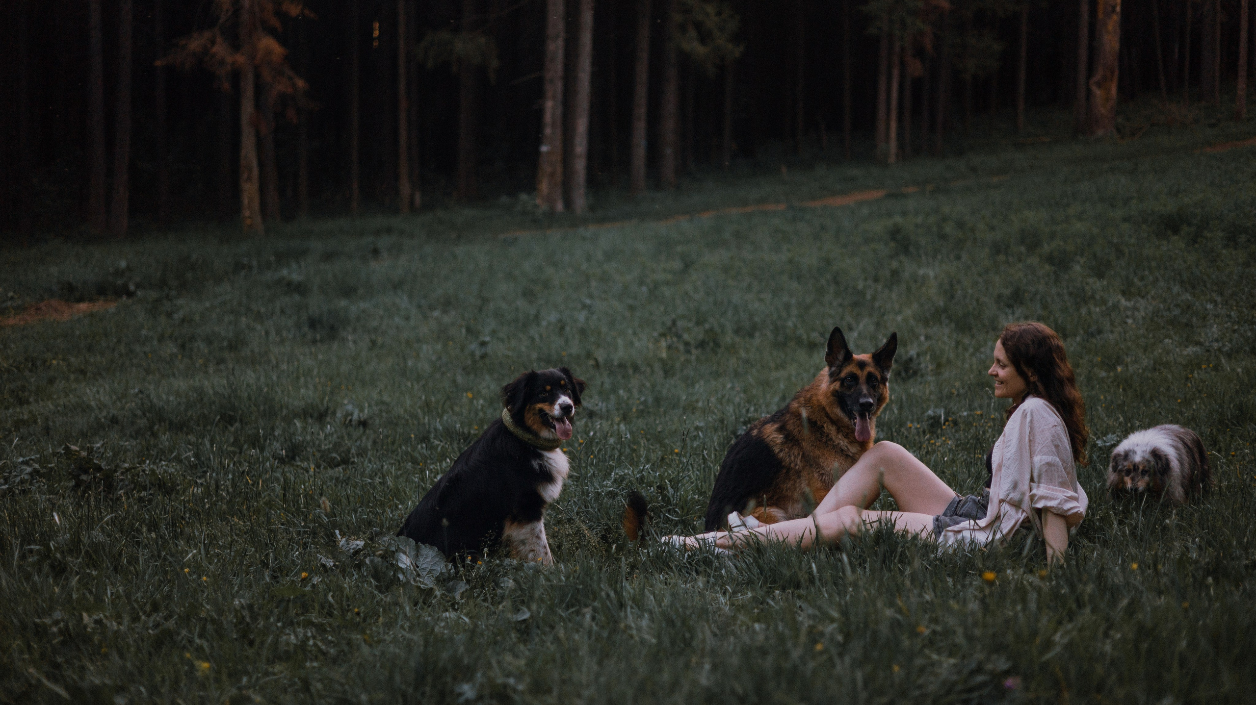 Настя, Шуня, Милка и Тигуан. Фотограф-анималист Богданова Полина