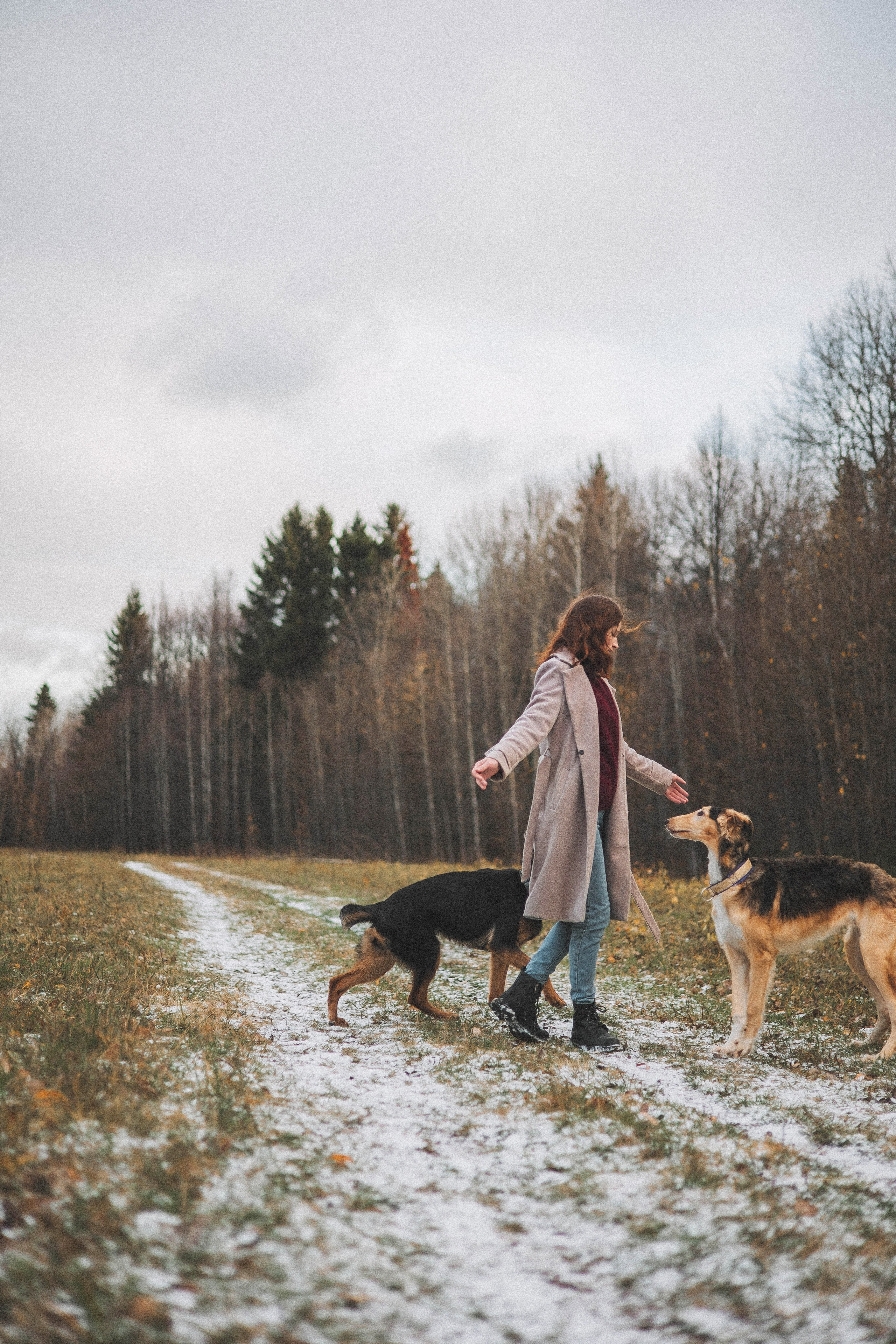 Алена, Леви и Микаса. Фотограф-анималист Богданова Полина