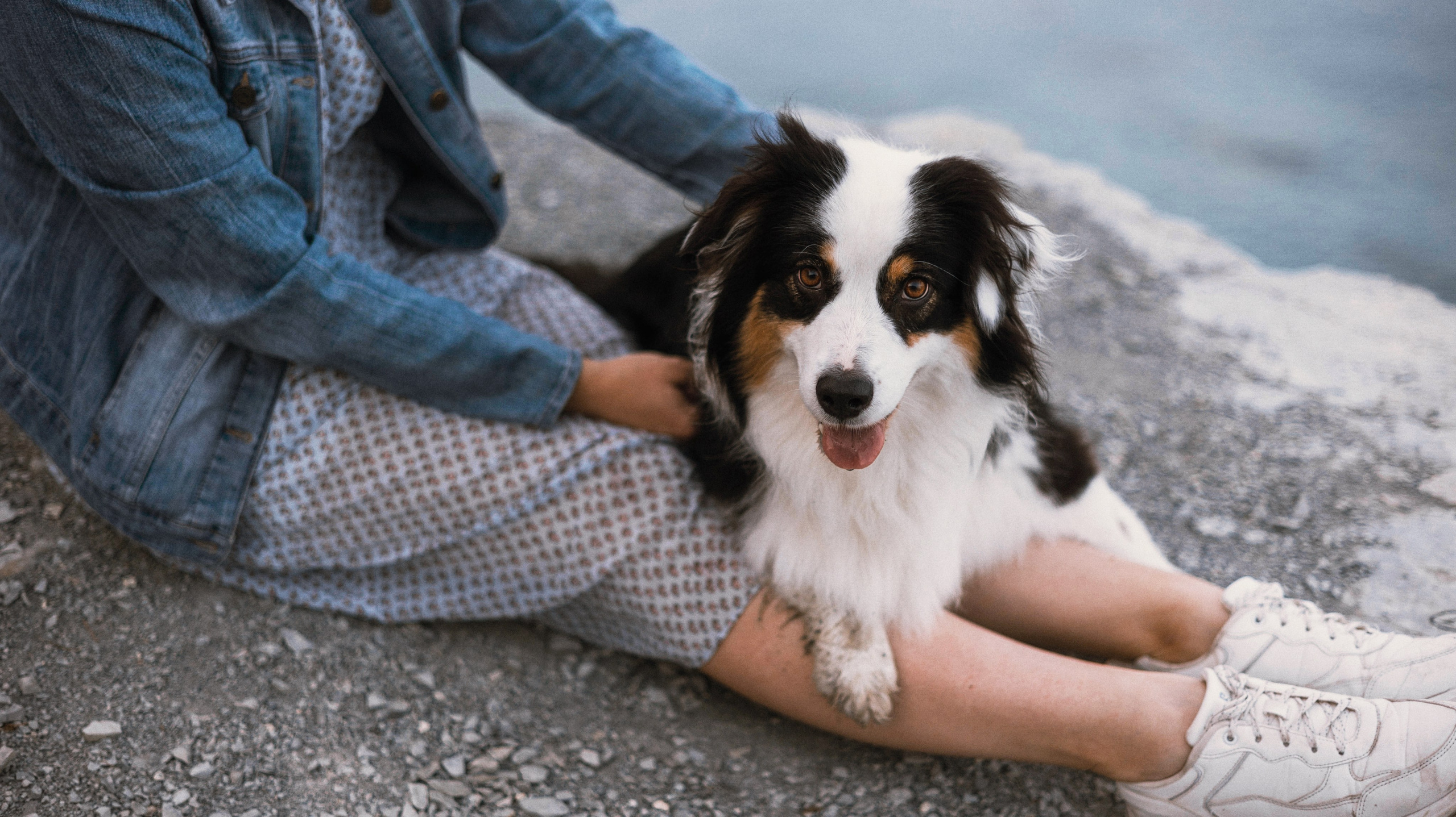 Ира и Джесс. Фотограф-анималист Богданова Полина