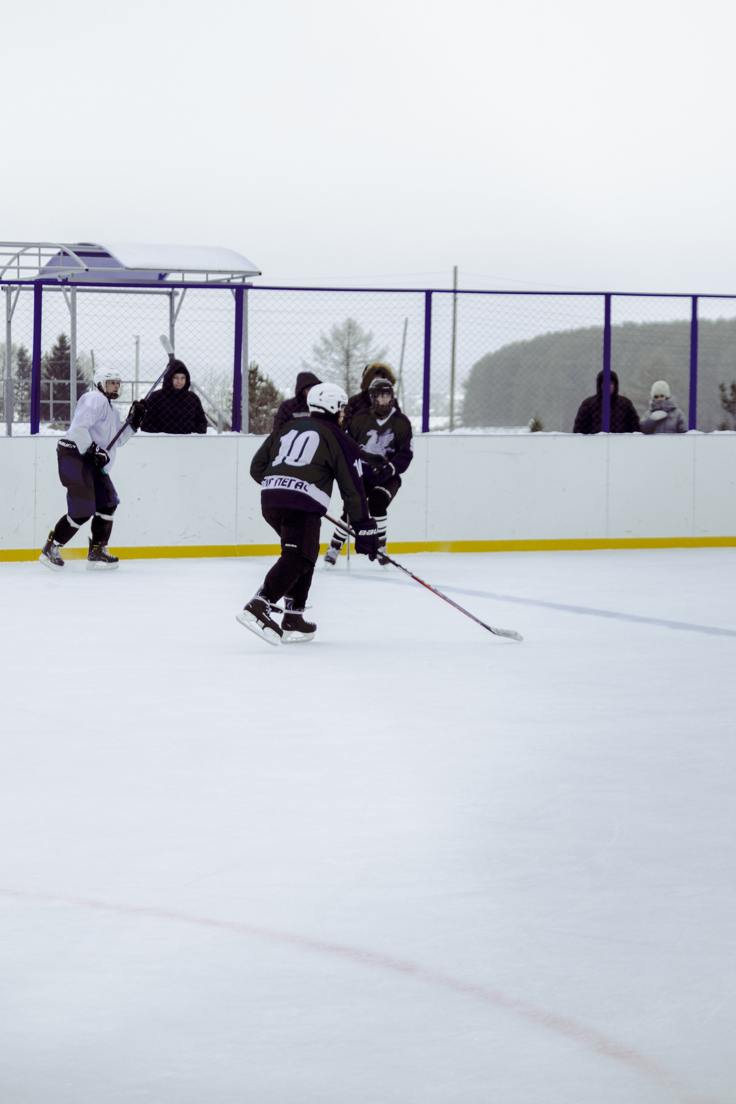 Хоккей 29.12.2024