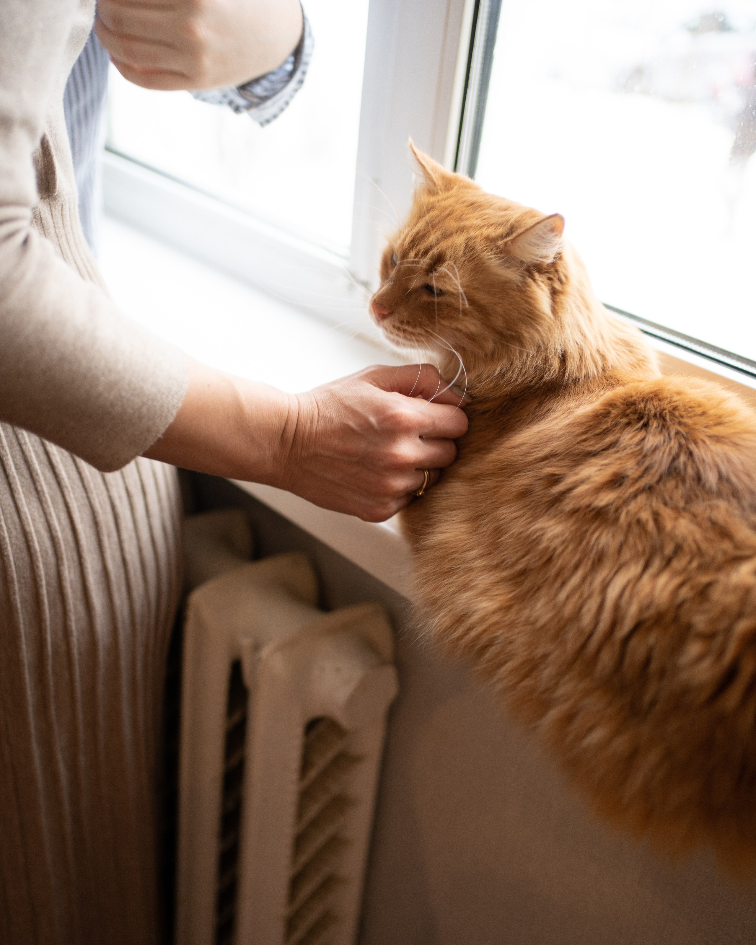 Ульяна и Михаил. Фотограф Катя Стрельцова