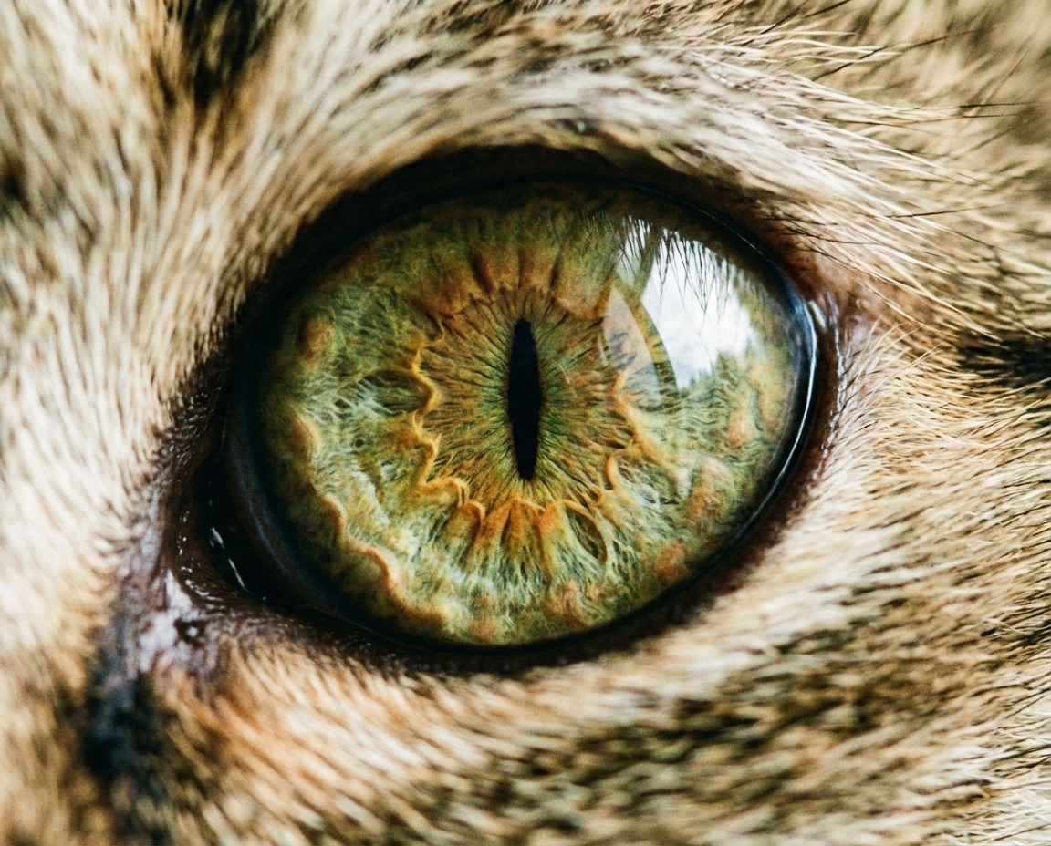 Фотоуслуги в Екатеринбурге — фотосессии, фото на документы, обработка | POP-UP. Фото + нейро — студия «POP-UP»