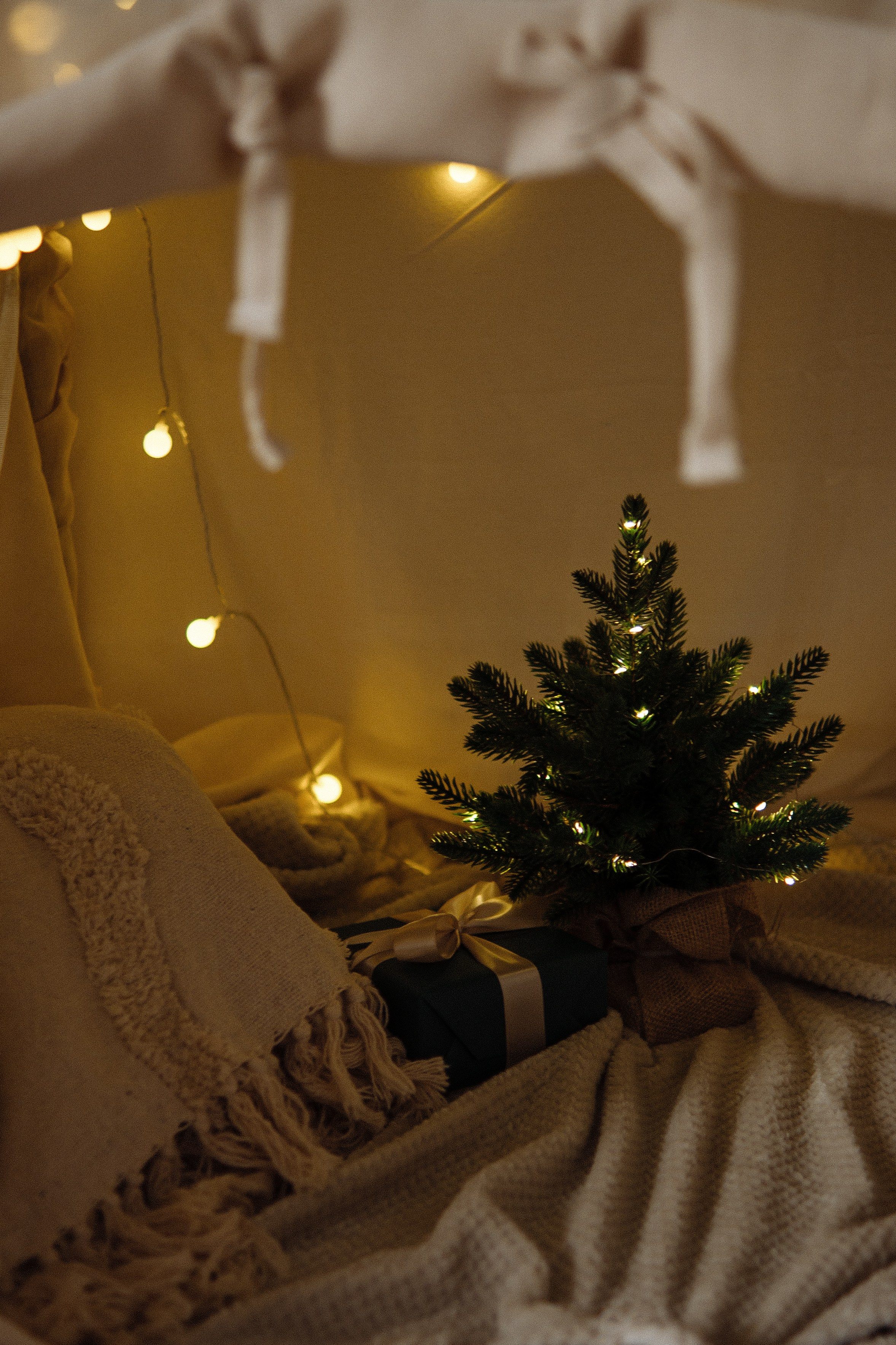 Новогодние декорации в зале AURA. AURA Фотостудия в Нижнем Новгороде