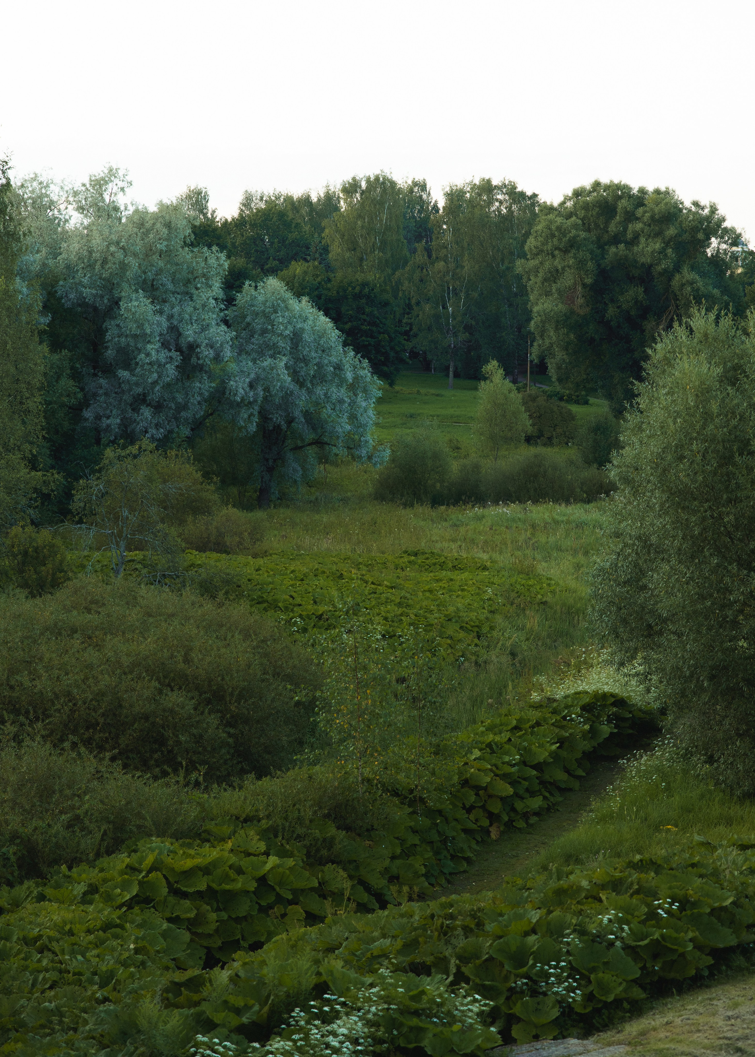 Artem & Anastasia • Castle Bip. Anna Fridenberg | wedding photographer