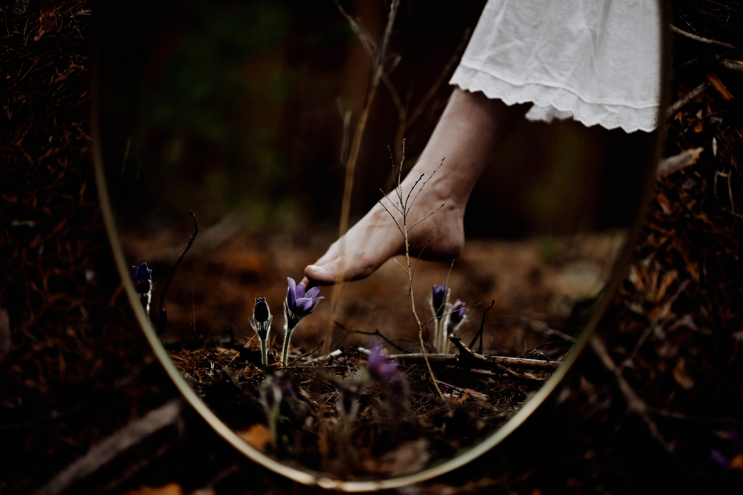 Волшебный лес. Фотограф в Нижнем Новгороде Алексей Уковский