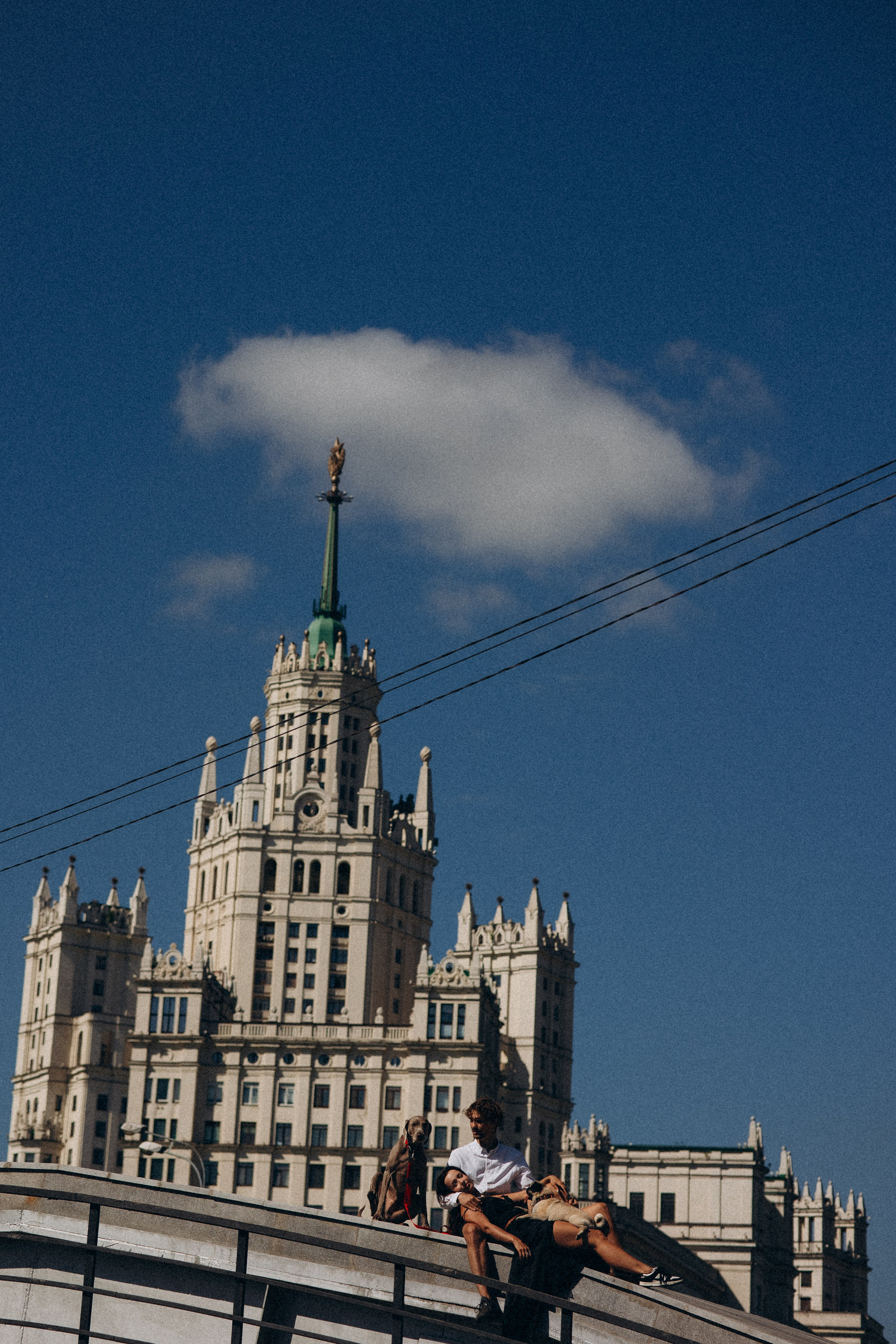 Джони, Оскар и их ро. Фотораф — анималист Мария Шистка