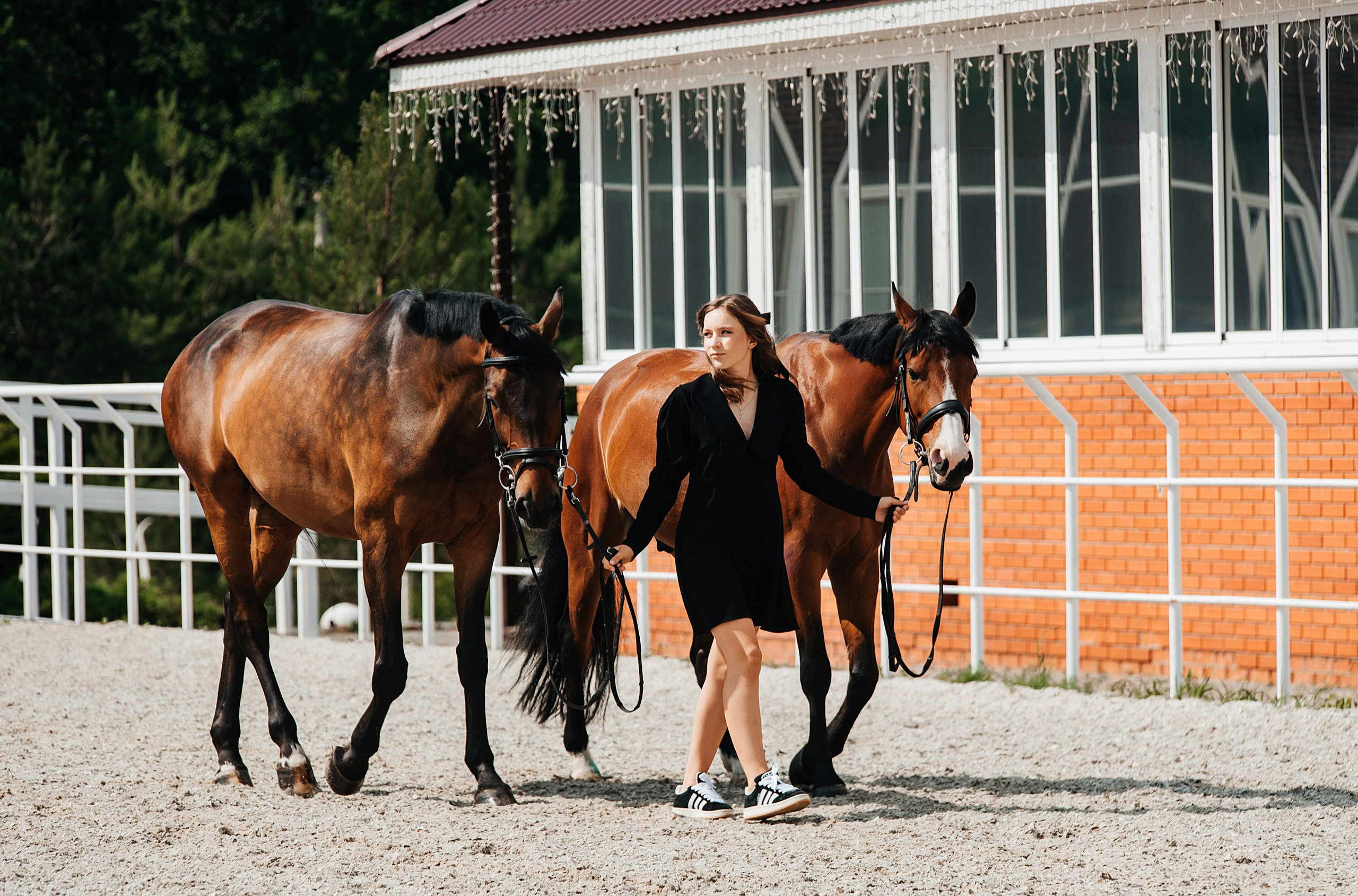 Фотосессии с лошадьми. Фотограф Рязань