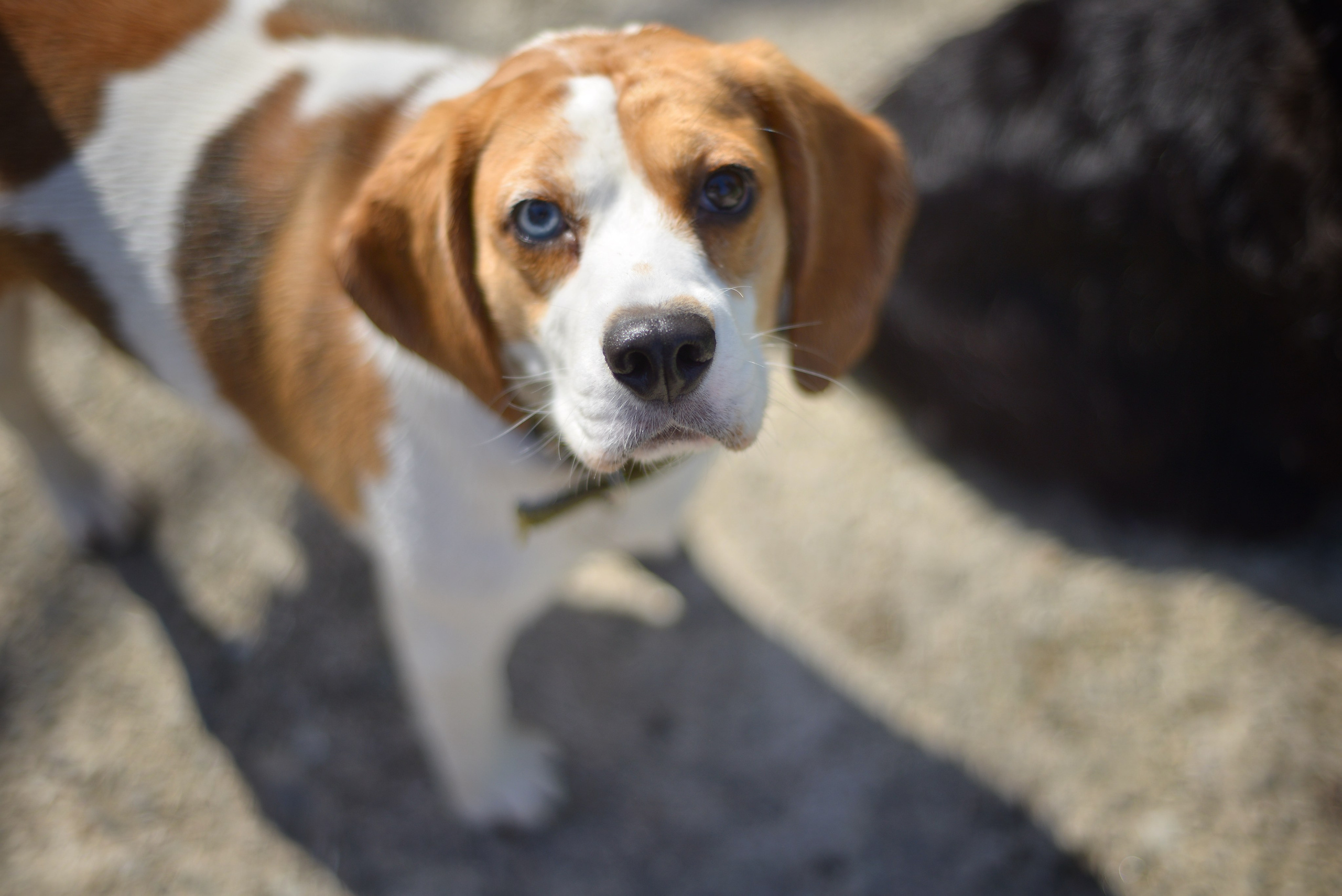 Есть. Психолог • Миронова Елена