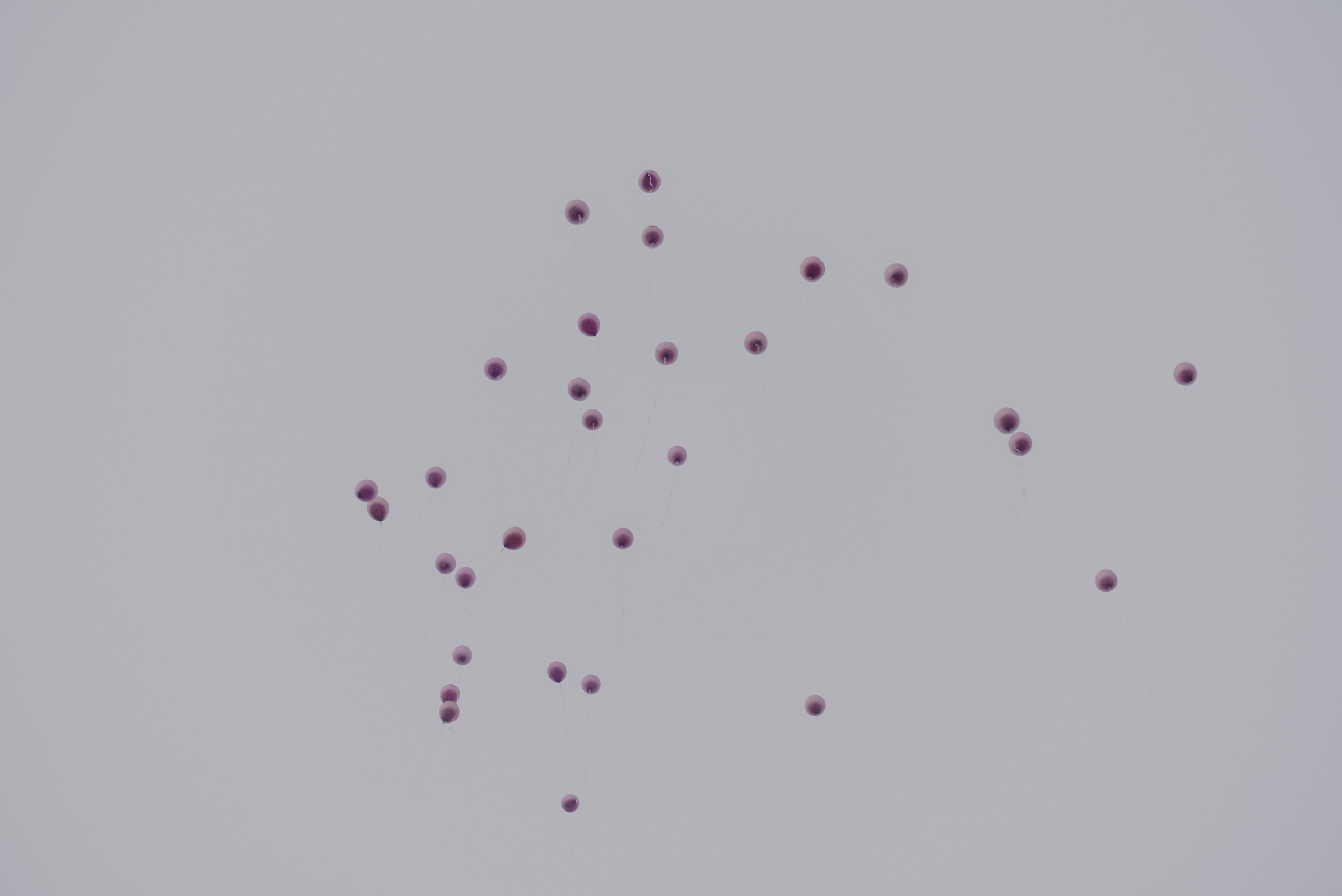 1+1=любовь (Норильск). Фотограф и Видеограф Анапа, Новороссийск, Краснодар. Алина и Женя