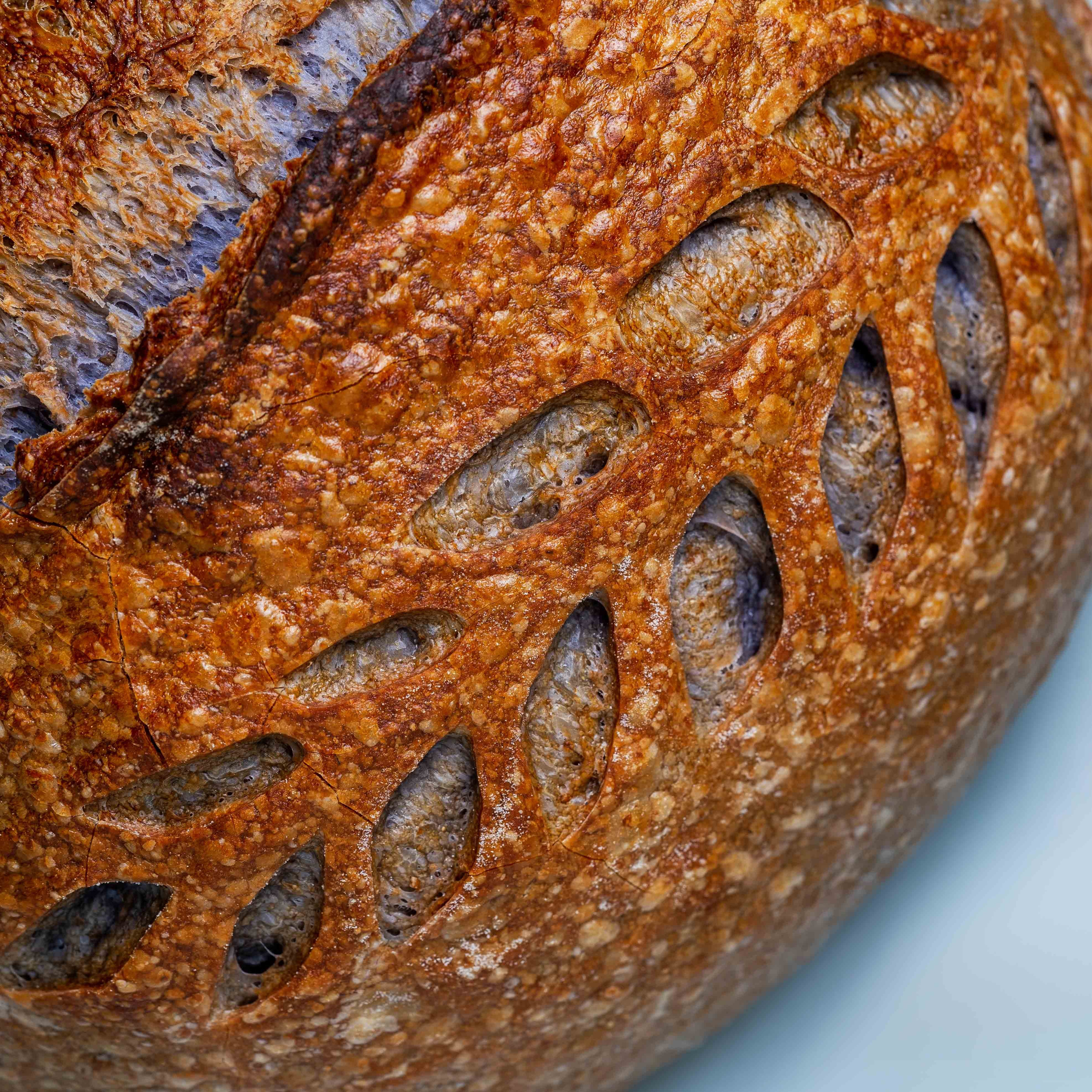 Фуд фотограф Дубай и Москва. Фотограф и видеограф в Москве и Абу Даби Мария Кулагина