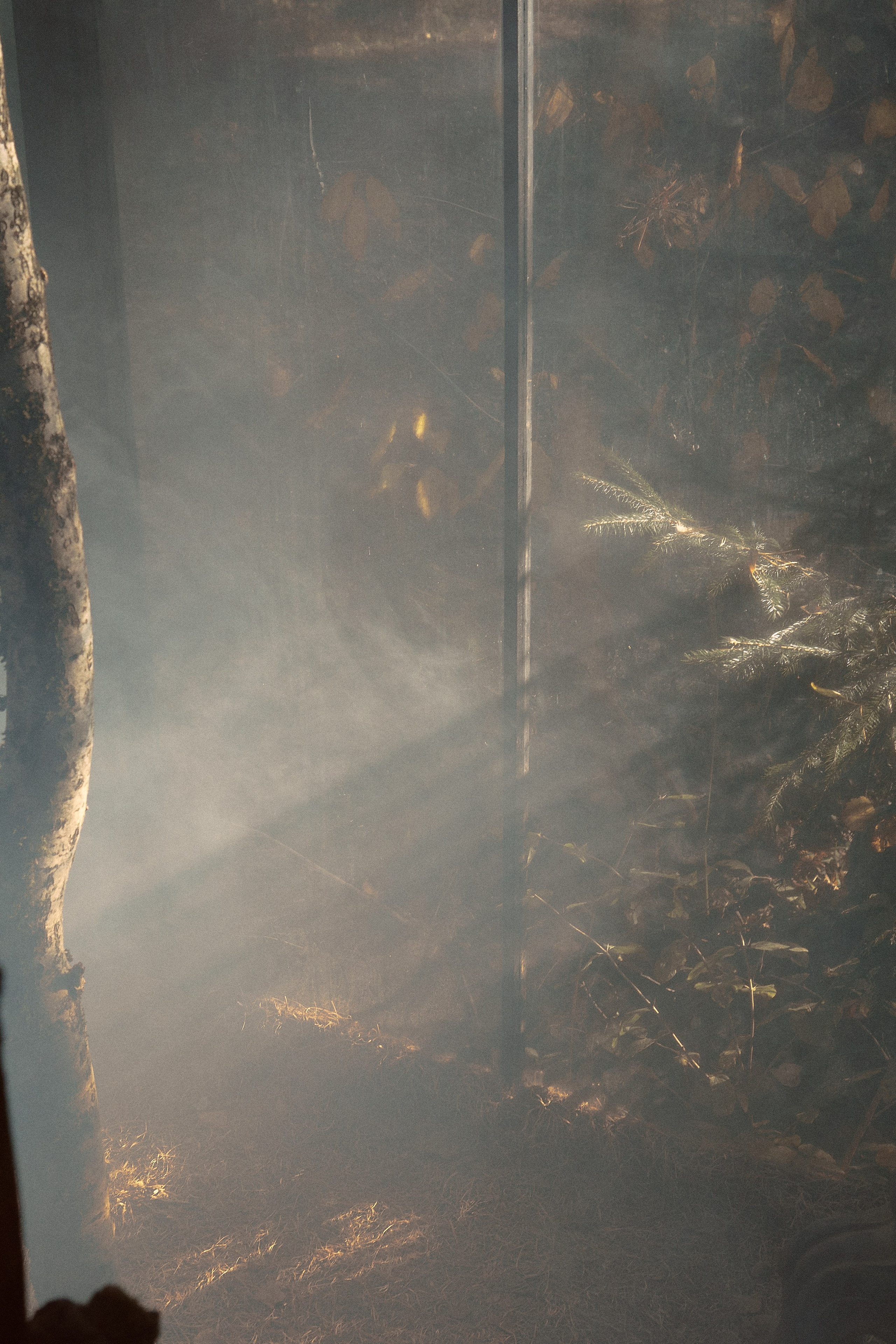 Сонная Лощина. Фотограф лавстори Москва/МО Приятелева Ангелина