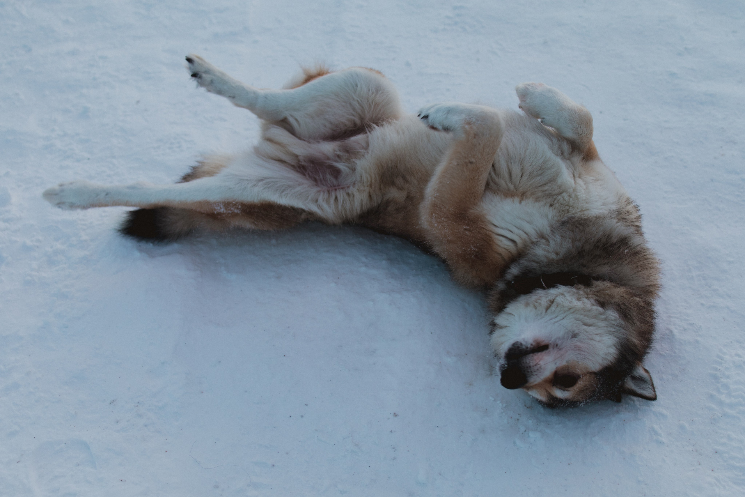 Териберка. Анна Мильч