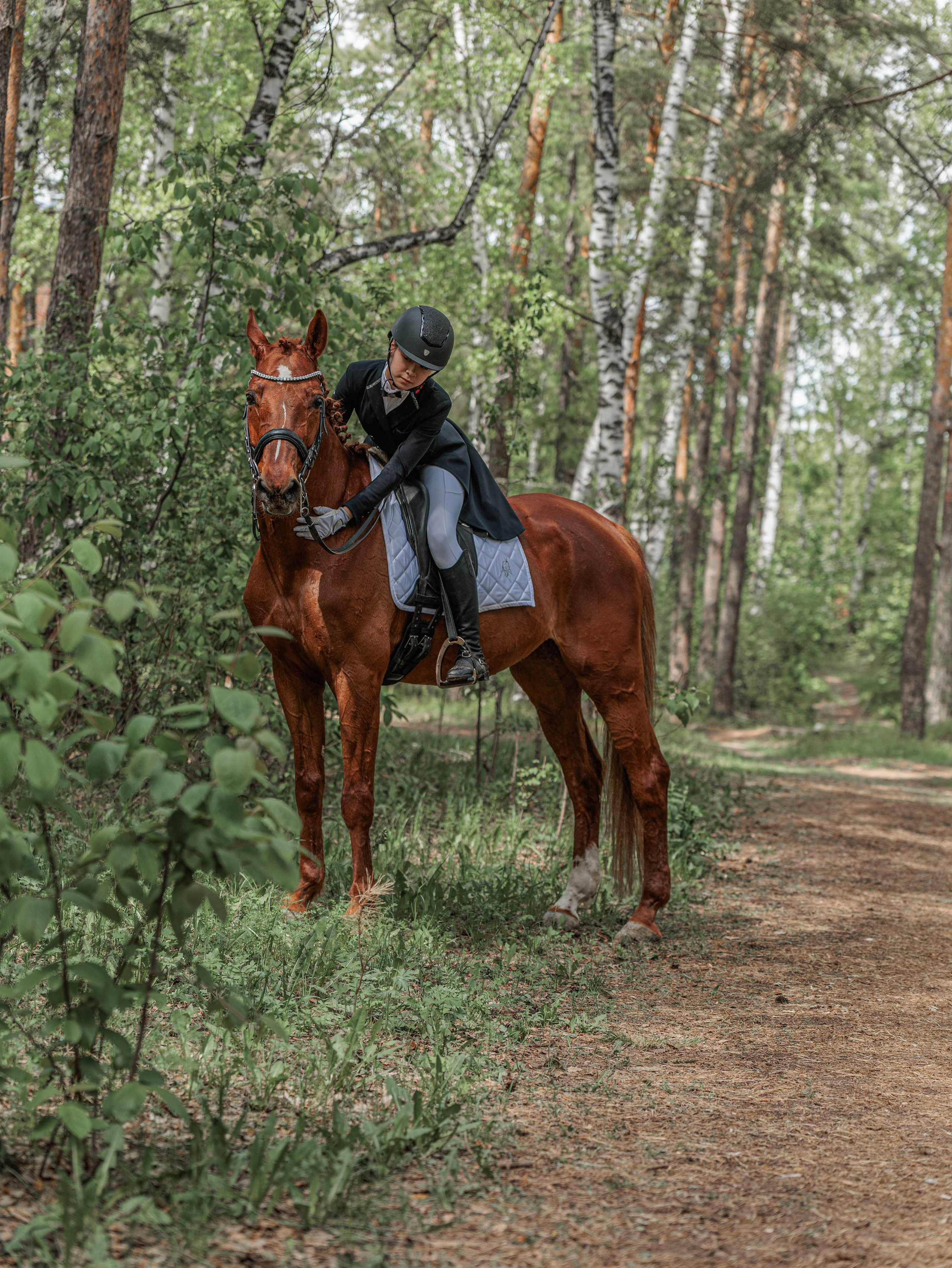 2025. Конный фотограф в Красноярске — Любовь Похабова