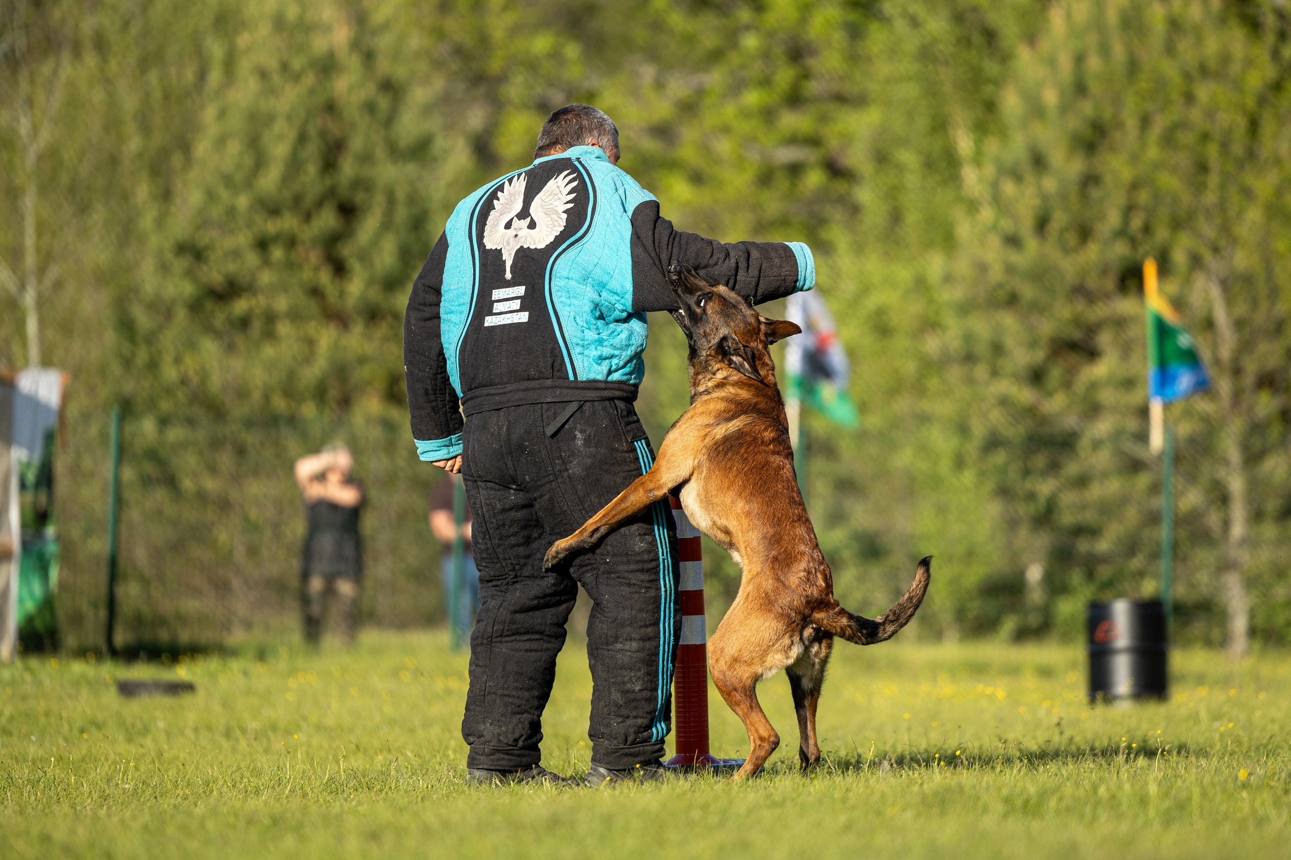 Испытания по мондьорингу в Нижнем Новгороде. Фотограф-анималист Анна Маринич