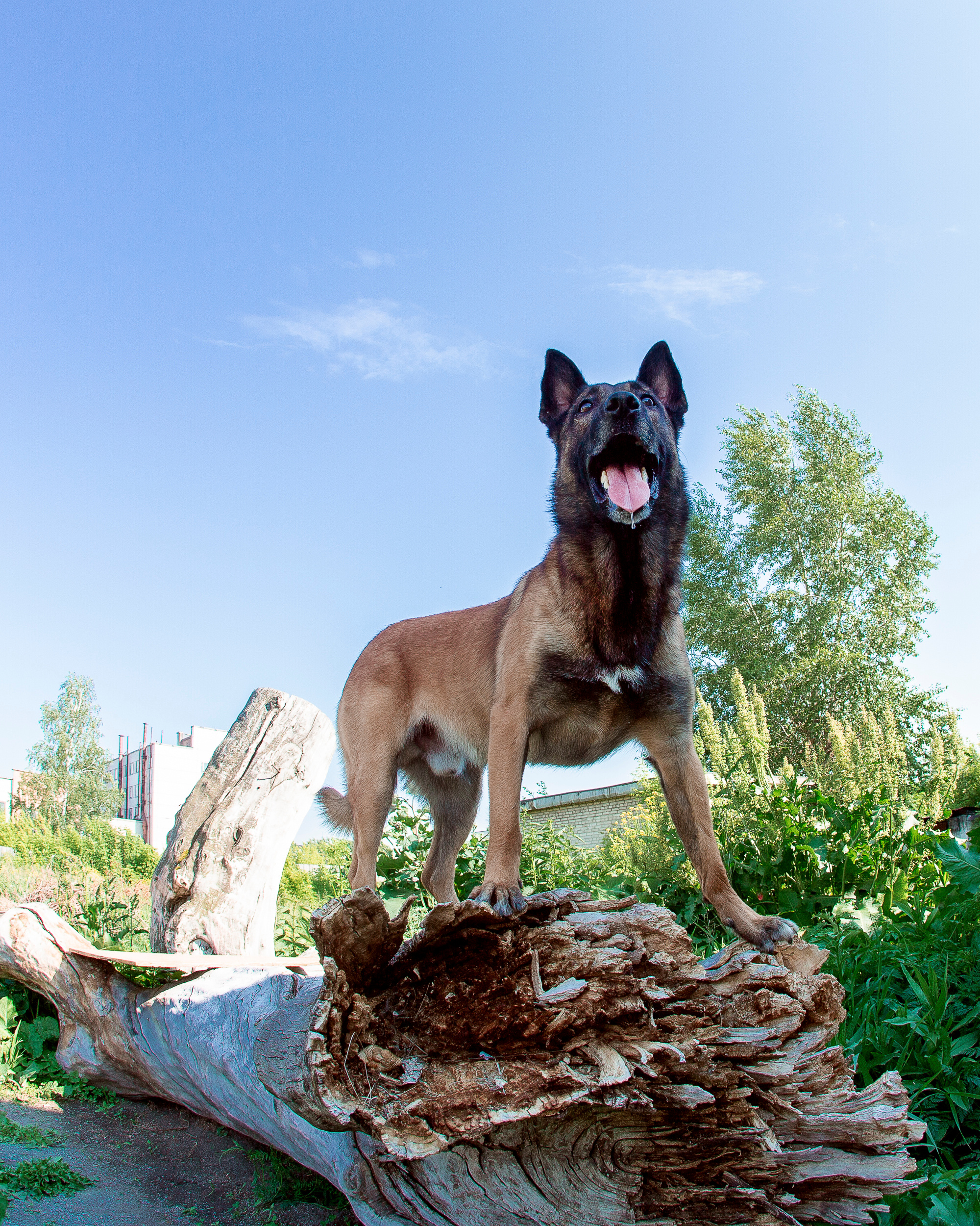 Фотосет для Vyatkins`Urosh. Фотограф в Новосибирске