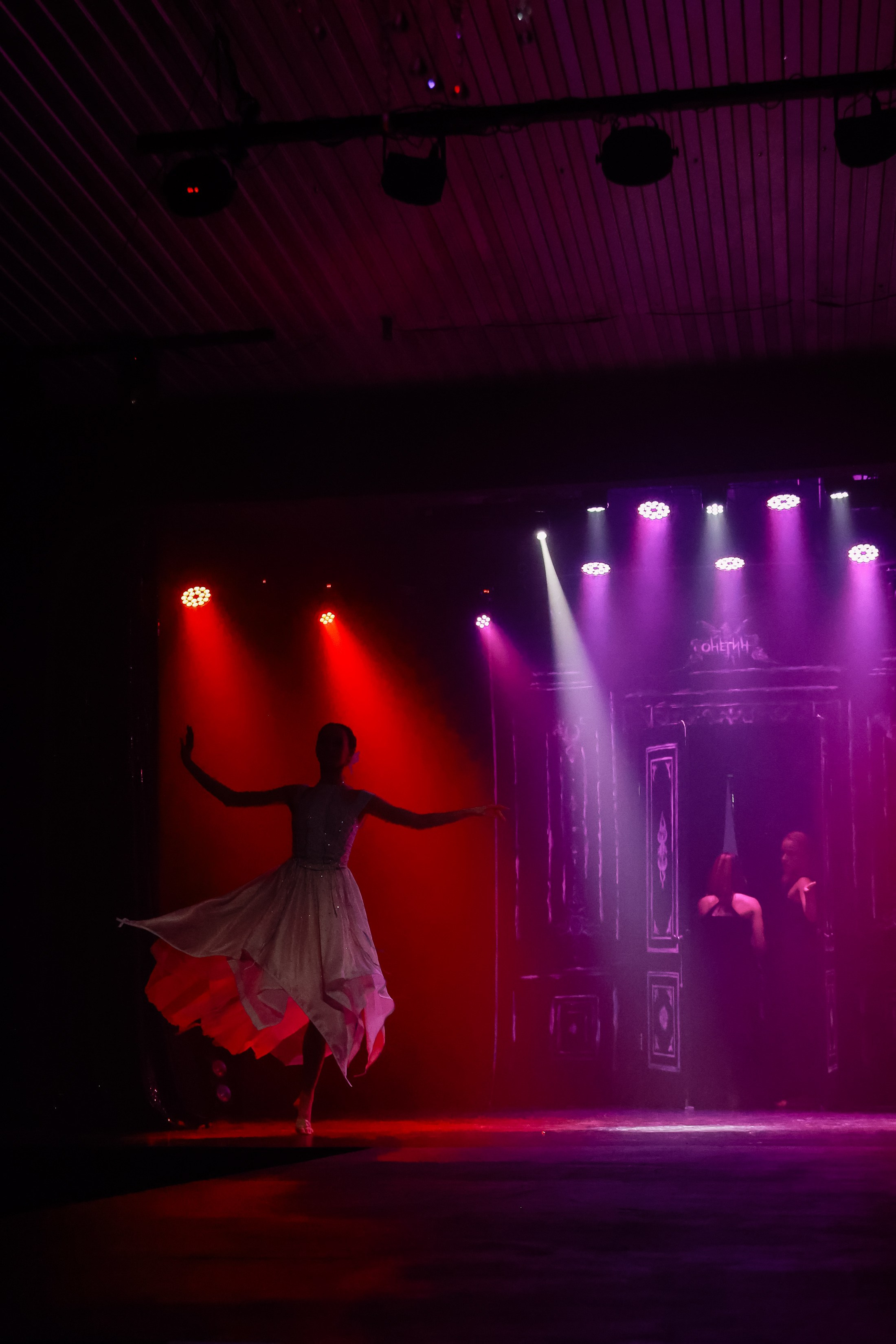 Пластический спектакль Онегин _ IVEX. Фотограф Юлия Мальцева