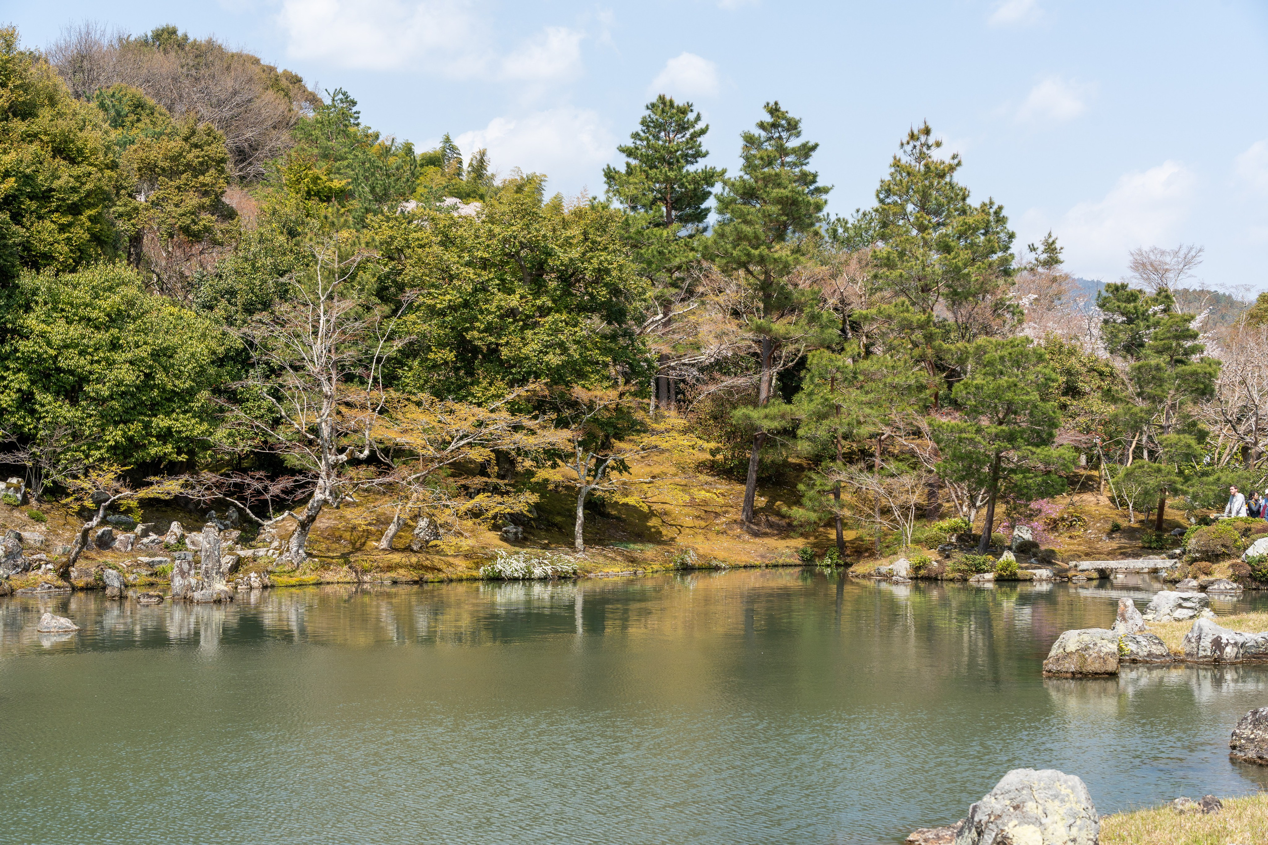 Япония, сакура. Творческие сьемки