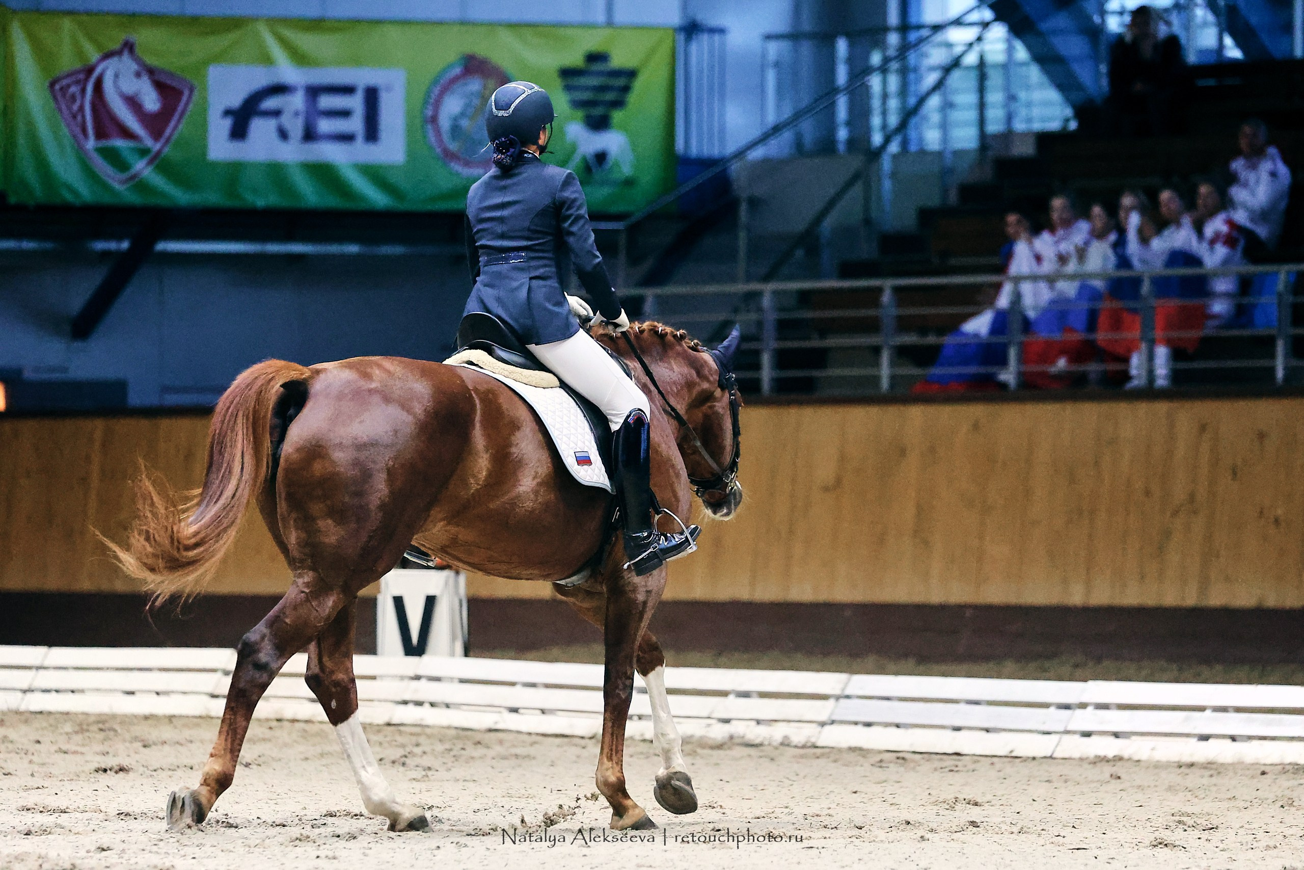 Звезды Евразии по выездке, Минск | 10'2023. Репортажный фотограф и ретушер в Москве Наталья Алексеева