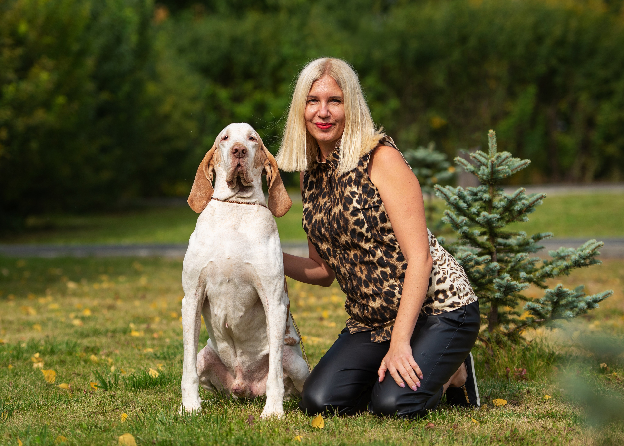 Выставка собак Тюмень 02.09.2023. Дог-фотограф в Тюмени Александра Королева