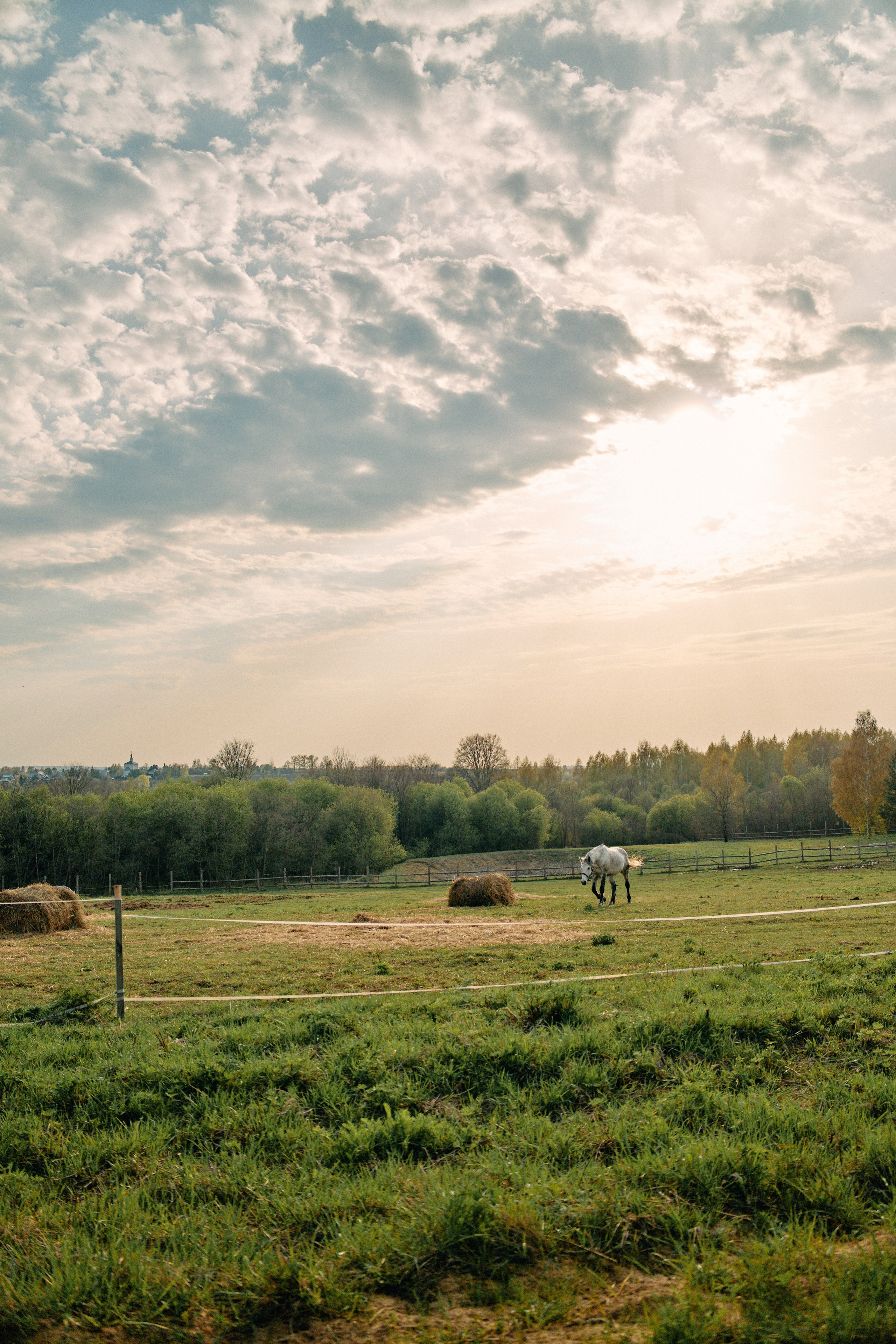 Бутик-отель Поле летом. Профессиональный Фотограф во Владимире, в Москве и в Суздале — Полина Романычева