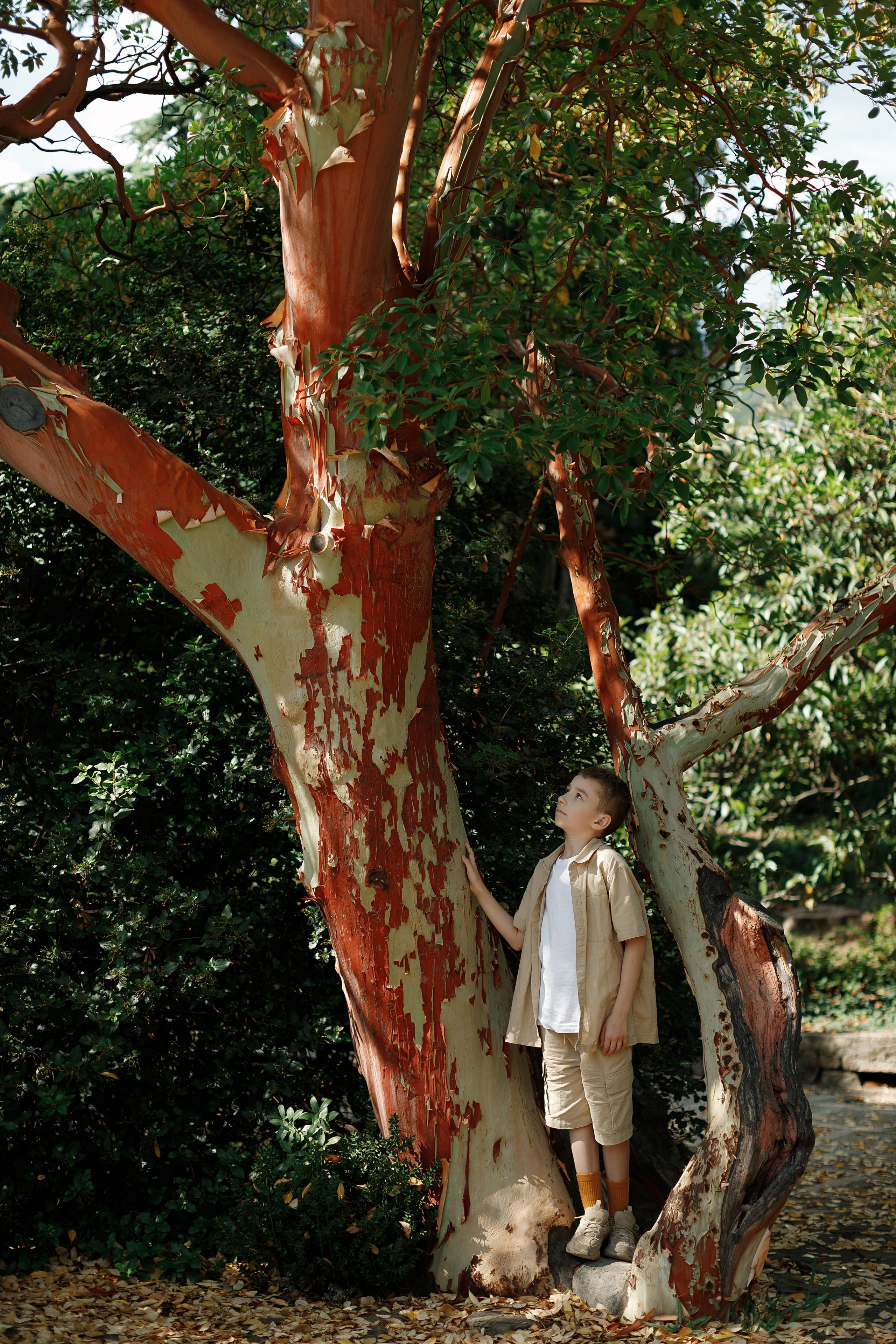 LoveStory&Family. Портретный фотограф в Симферополе Екатерина Аляпина