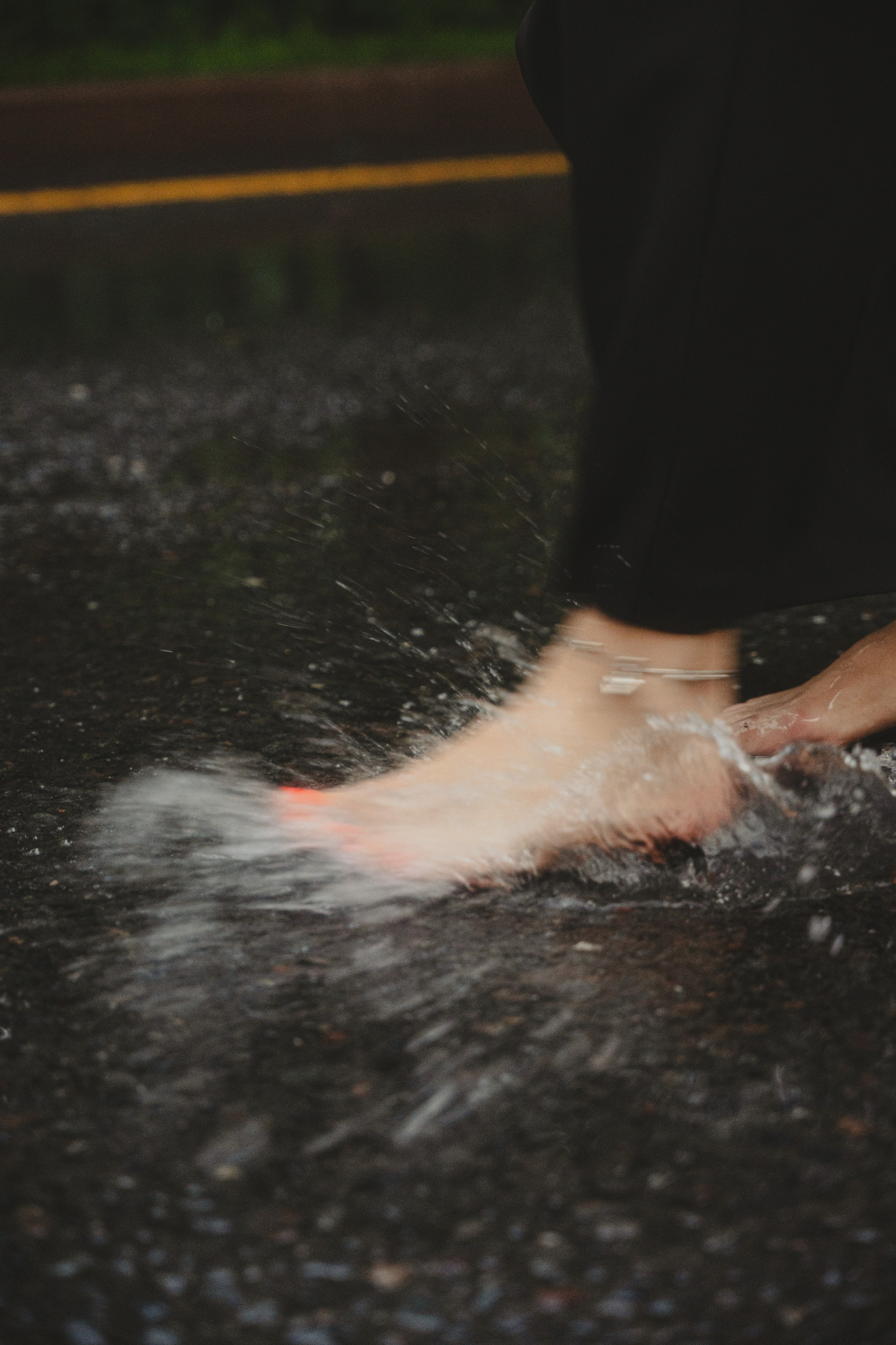 Алена Штыкова. Портретный и репортажный фотограф