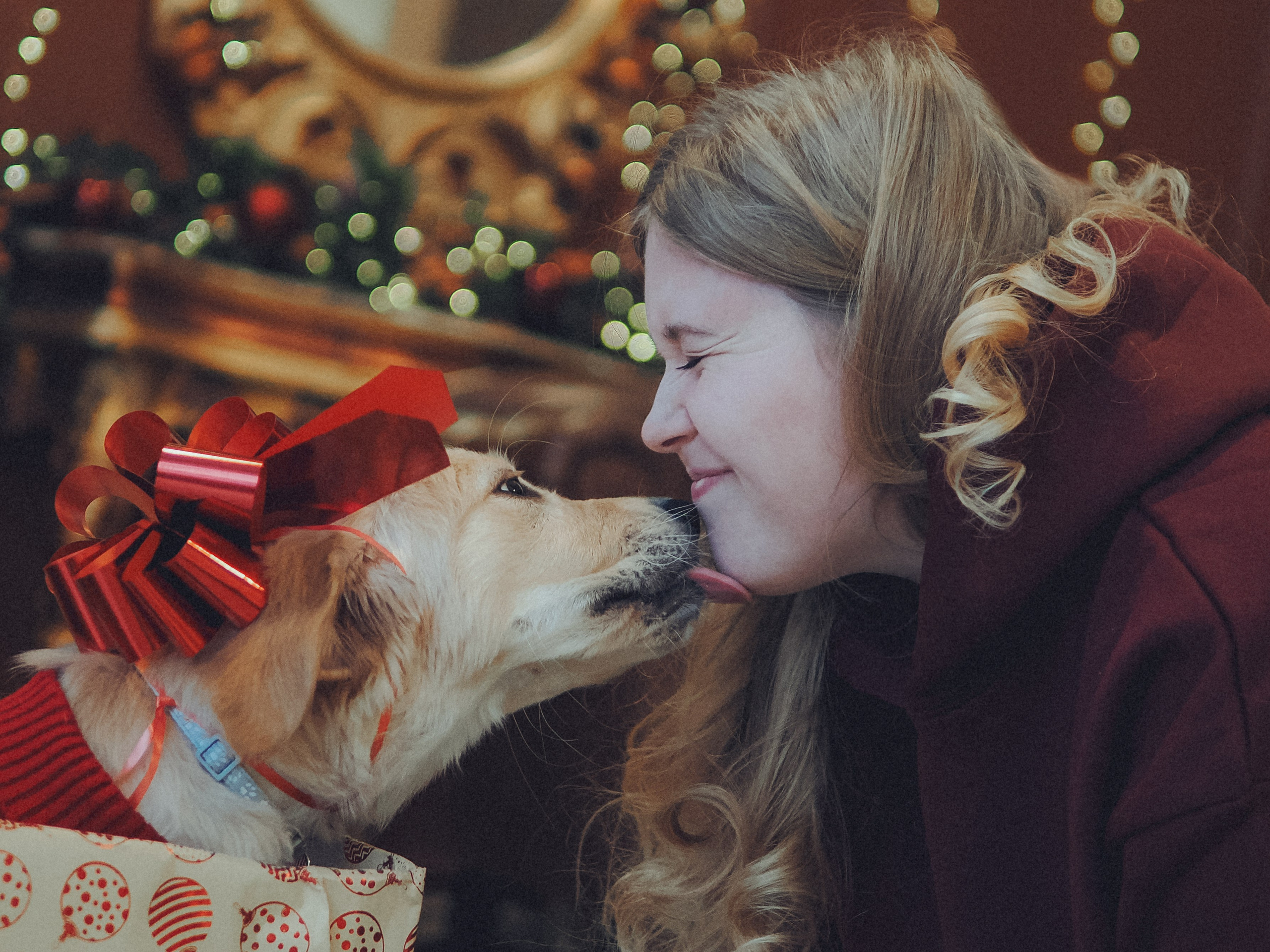Малышка Молли и новый год. Фотограф в Москве — Сергей Люкшинов