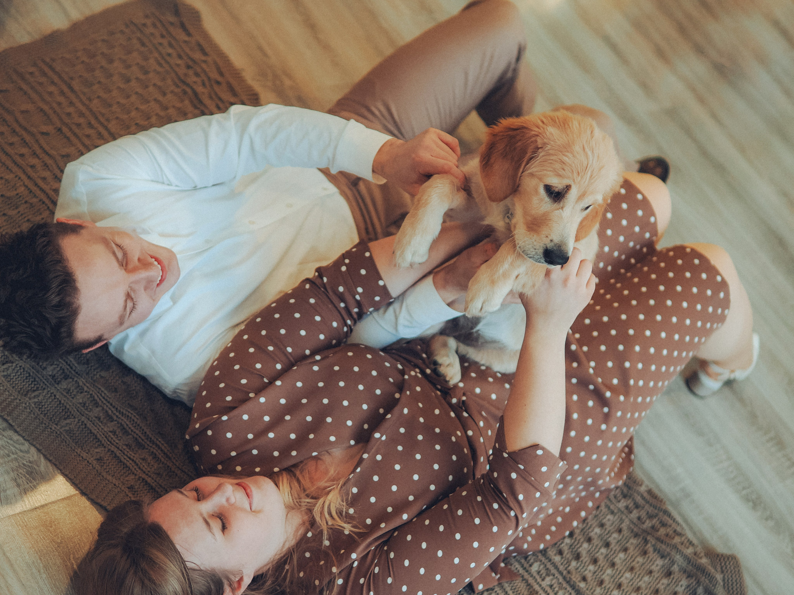 Малышка Молли и новый год. Фотограф в Москве — Сергей Люкшинов