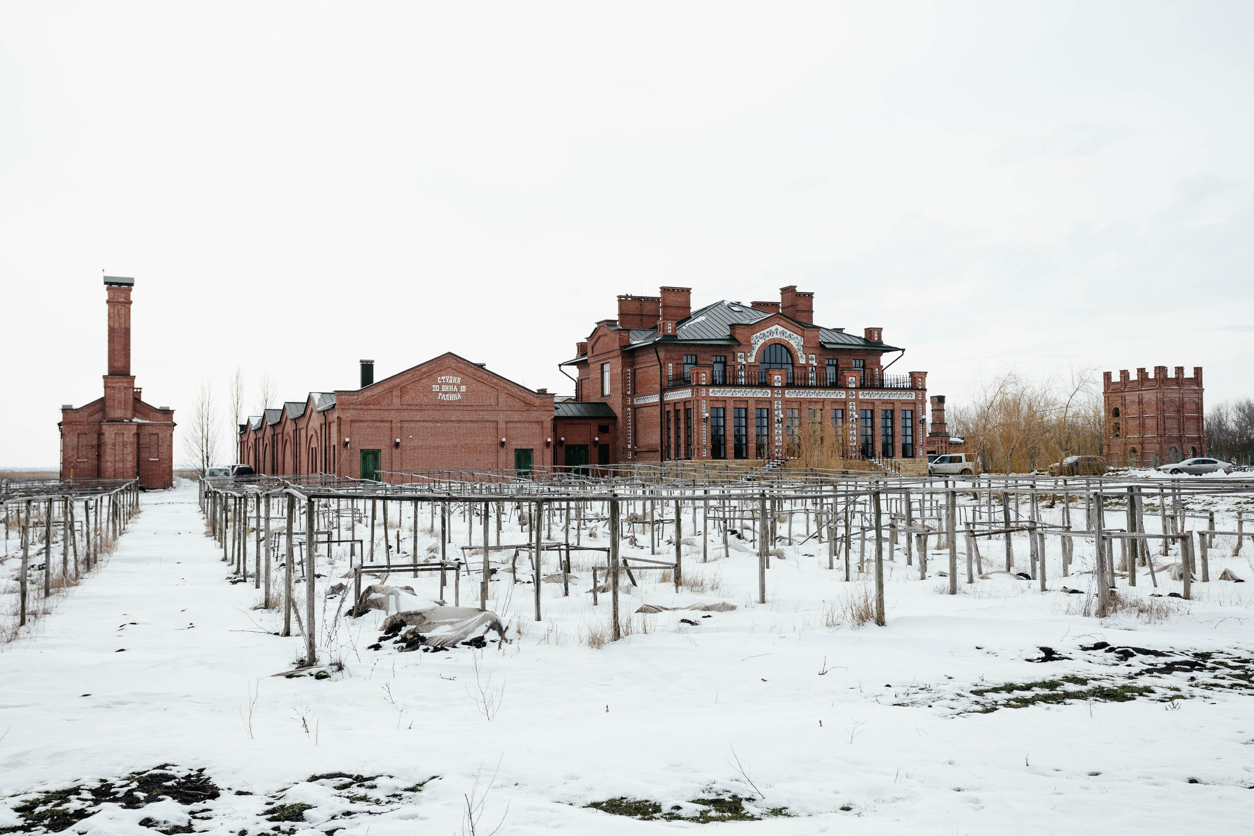 Вина Арпачина. Контент фотограф в Ростове-на-Дону Мардус Павел