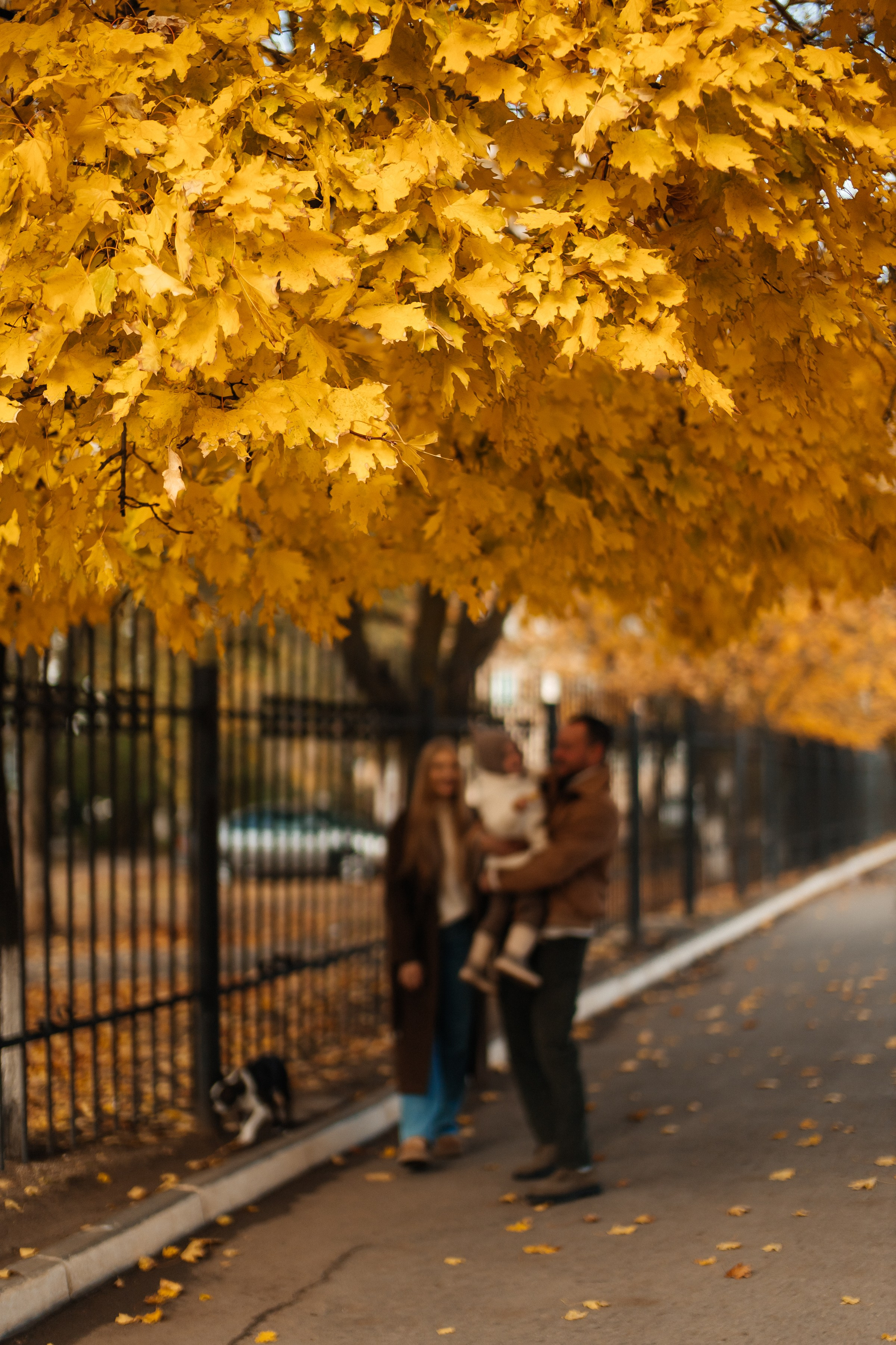 Артем Настя Николь и Бени. Семейный фотограф в Волгодонске Краченцева Анна