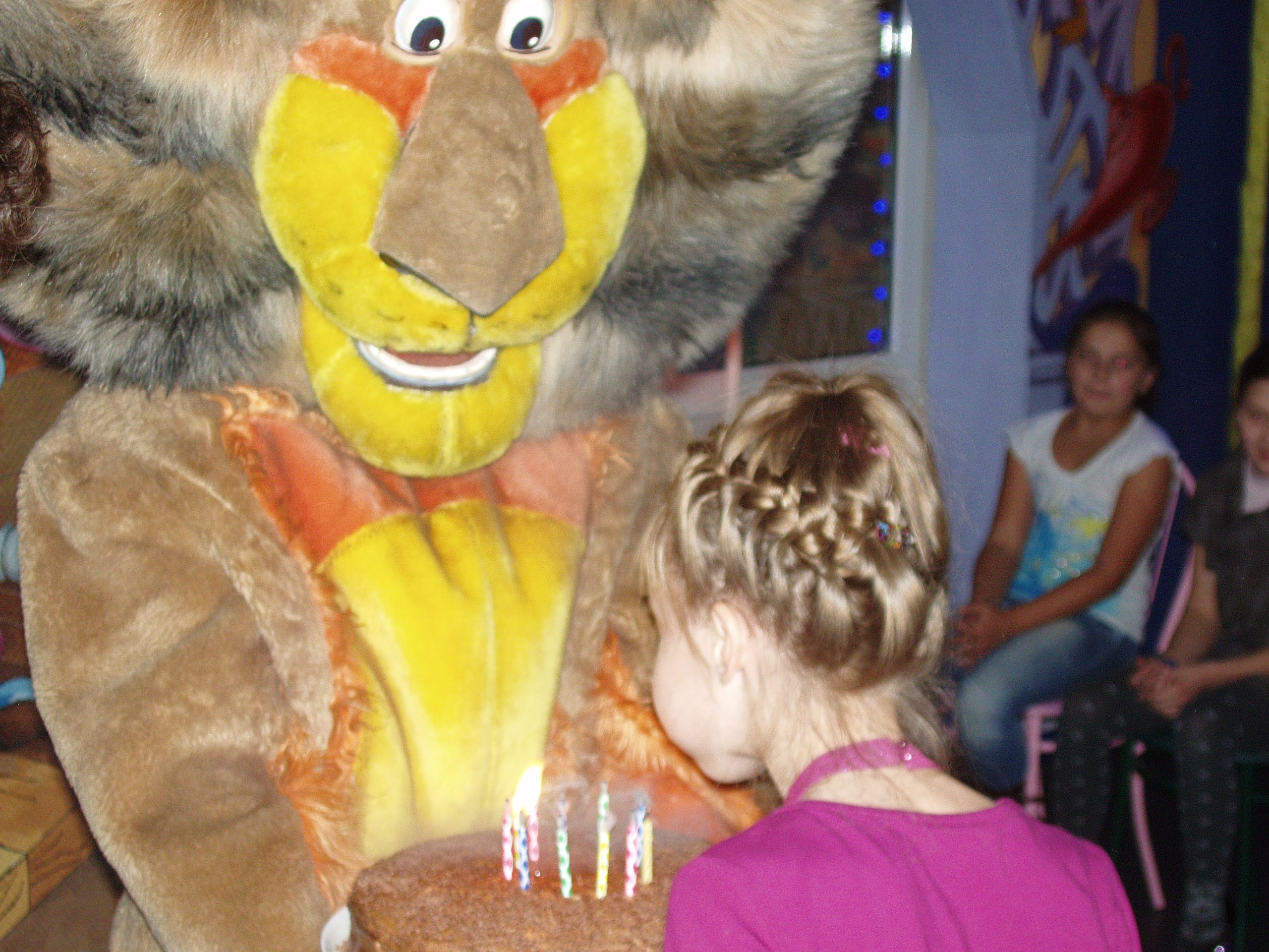 Катя ДР 11 лет Василек 30.11.2010. Семейный, Свадебный фотограф СПБ Питер— Романова Екатерина