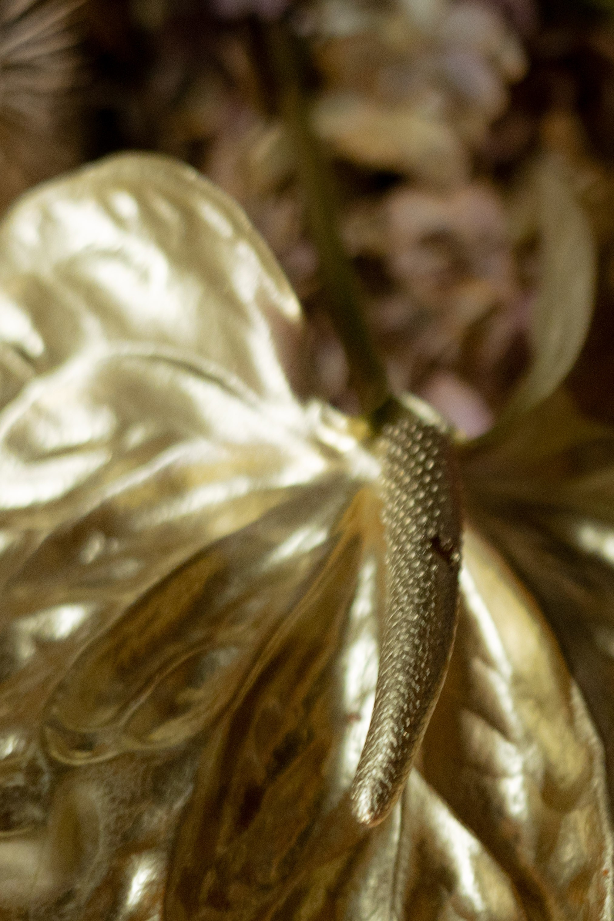 Оформление IX Международного конкурса пианистов имени Д. Д. Шостаковича. Оформление свадеб, декор свадеб Вера Маркова, Москва