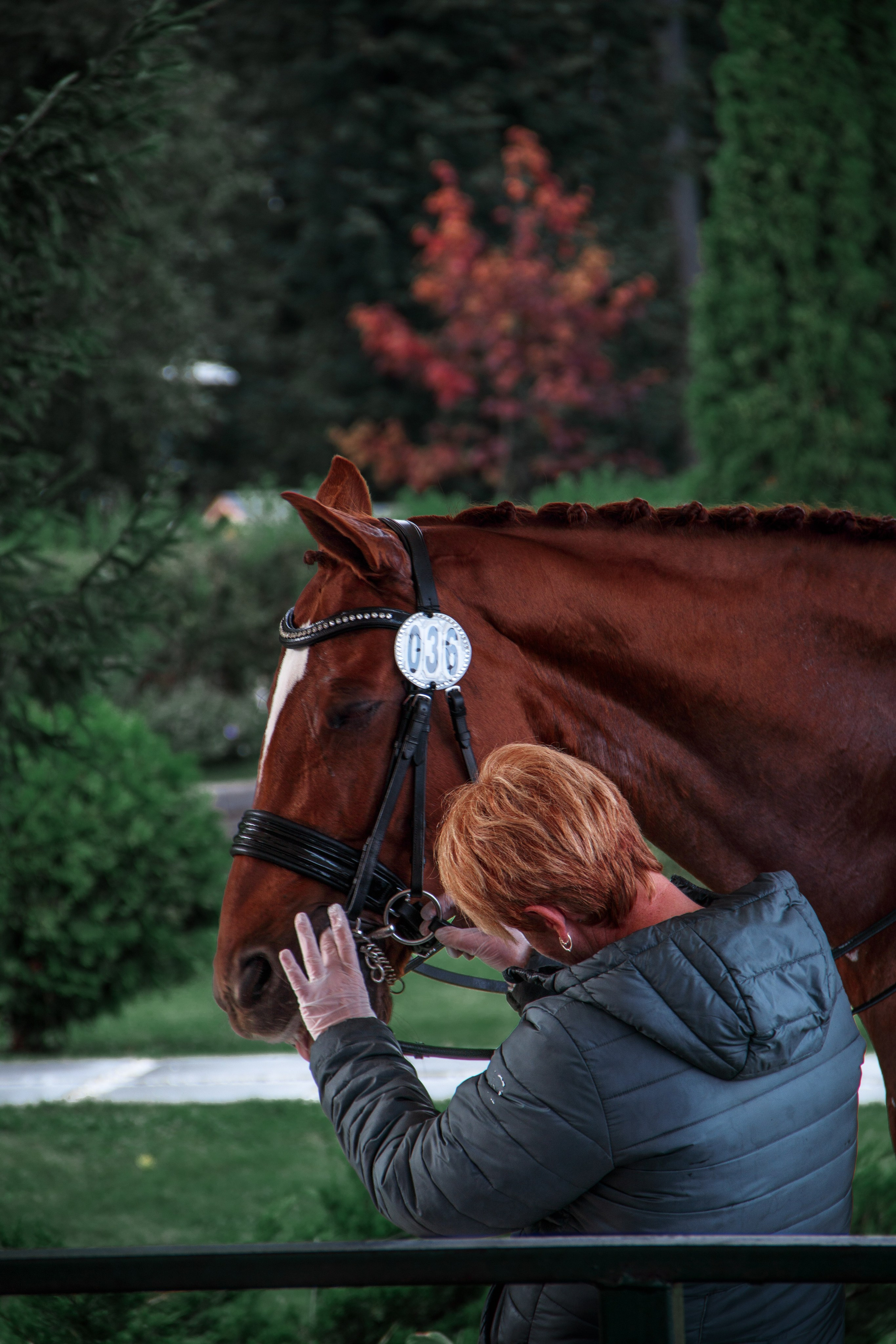 Фотограф/Видеограф
