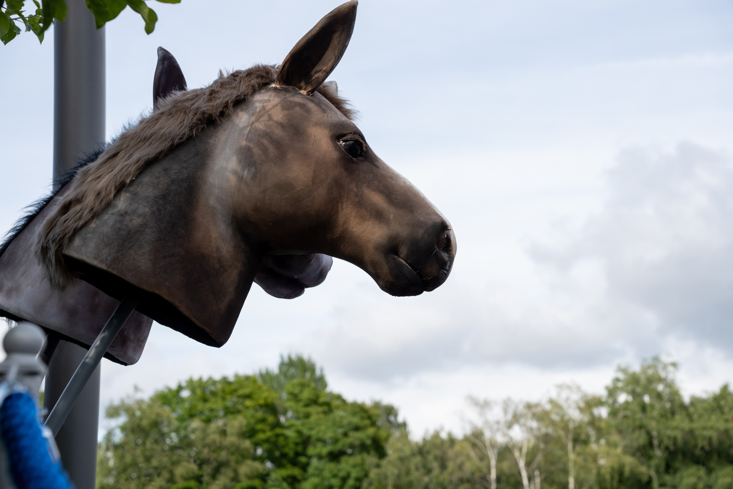 Животные. Фото, видео, монтаж