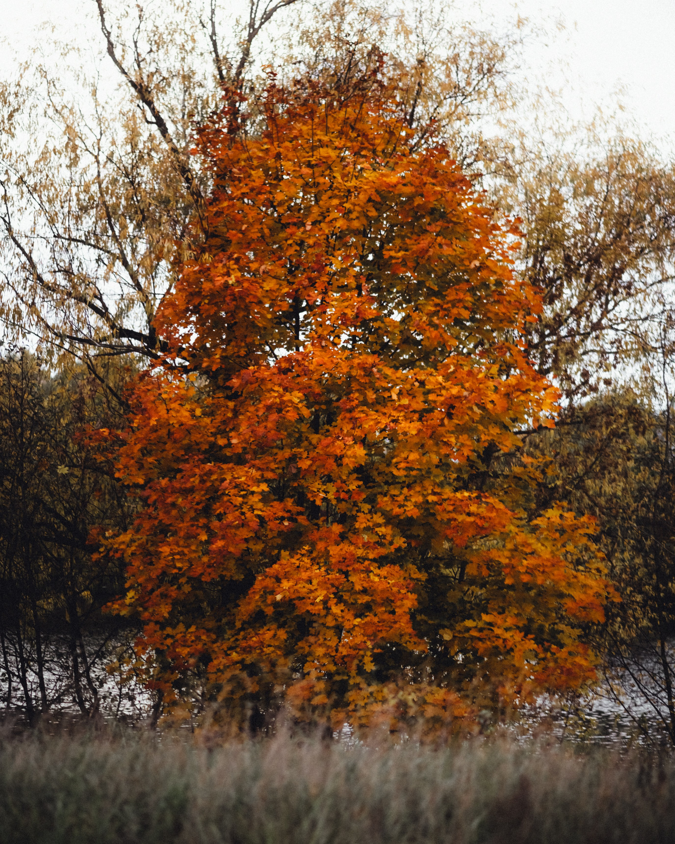 Фотосессия в Ильинском