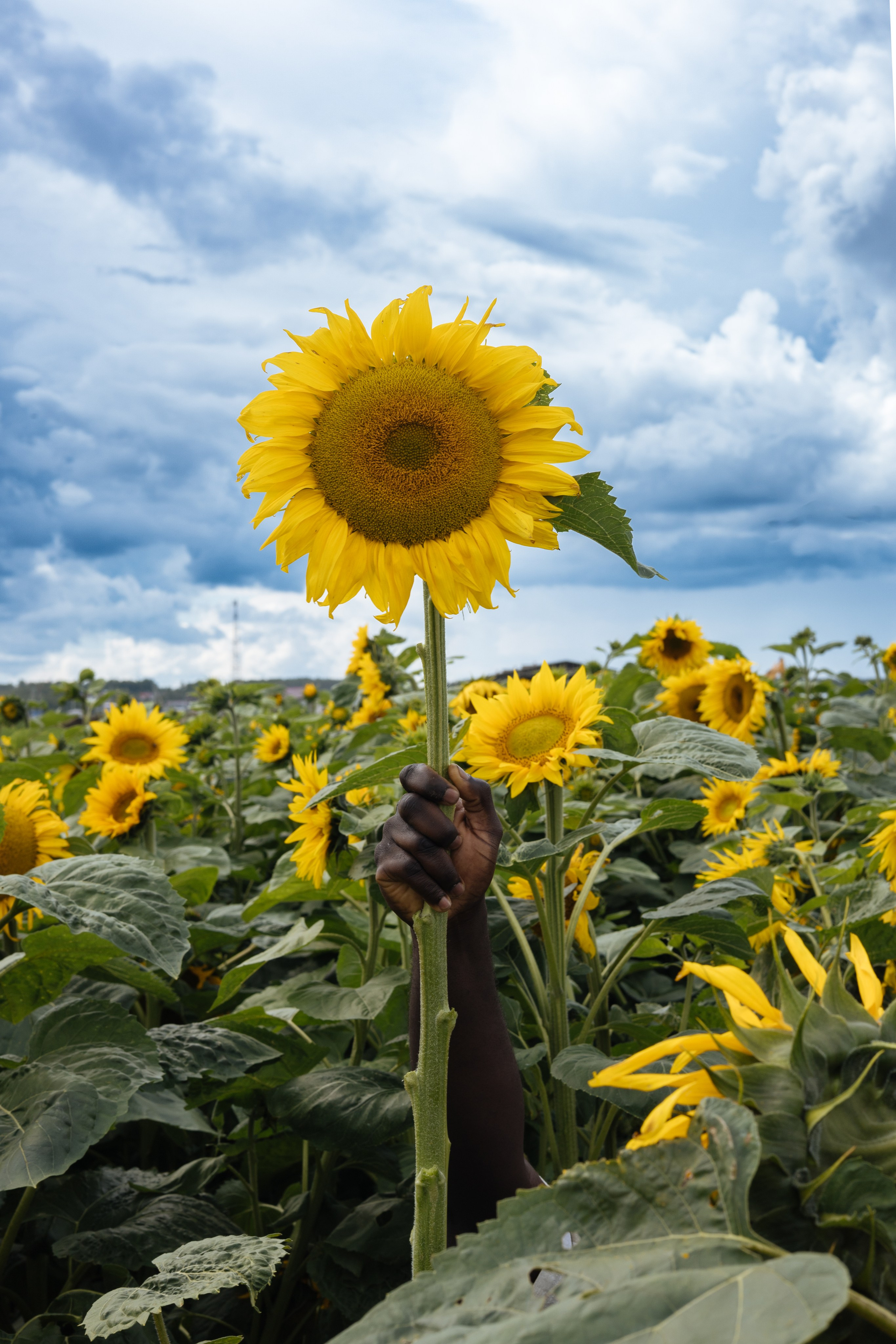 MARIKA MEDIA MAGAZINE📍Нью-Йорк. Фотограф Красноярск съемки лавстори, фотосессия в студии, портретная съемка, творческие фотосессии