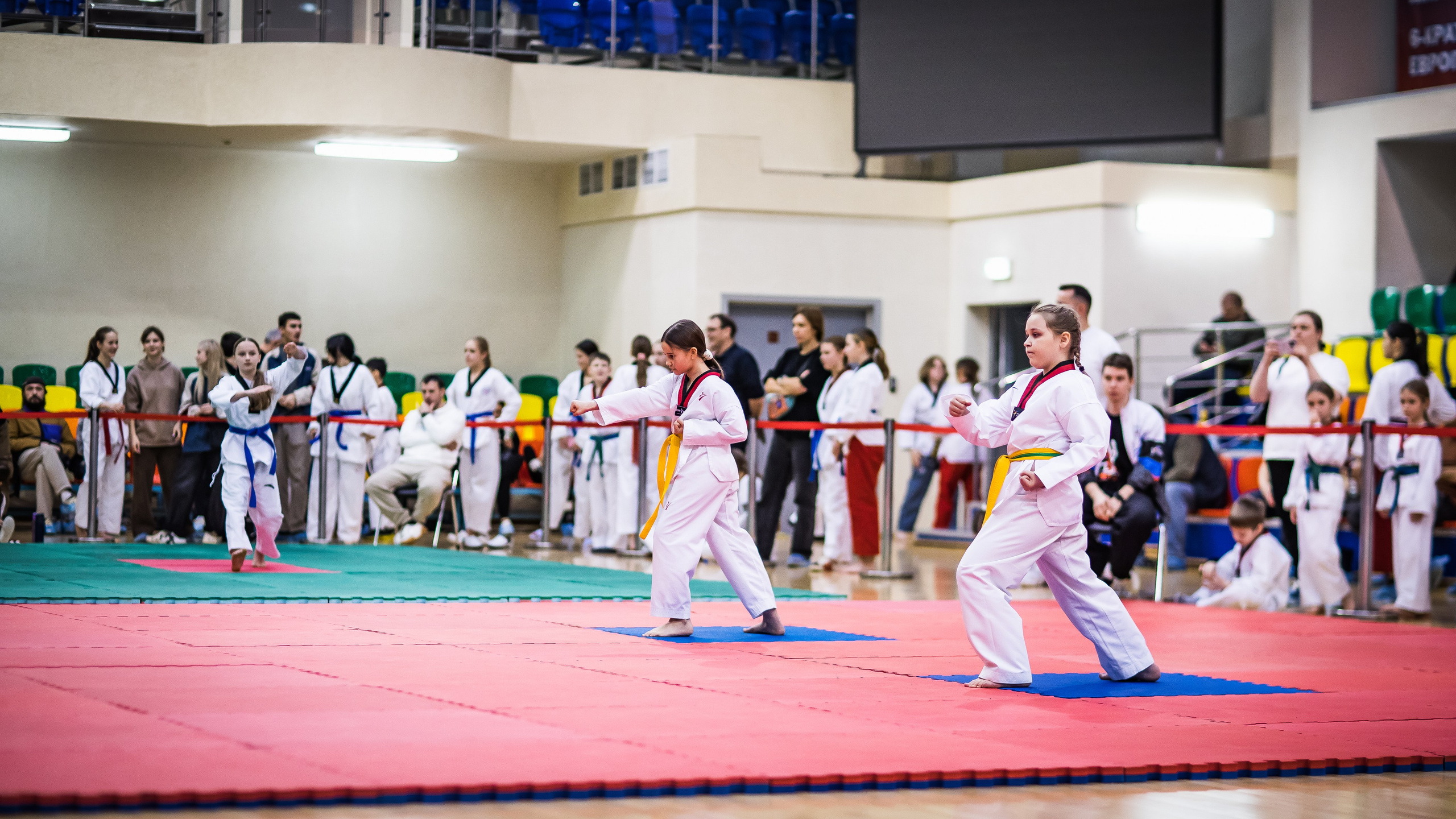 Турнир Федерации детского тхэквондо России по дисциплине ПХУМСЭ. Спортивный фотограф Максим Серегин