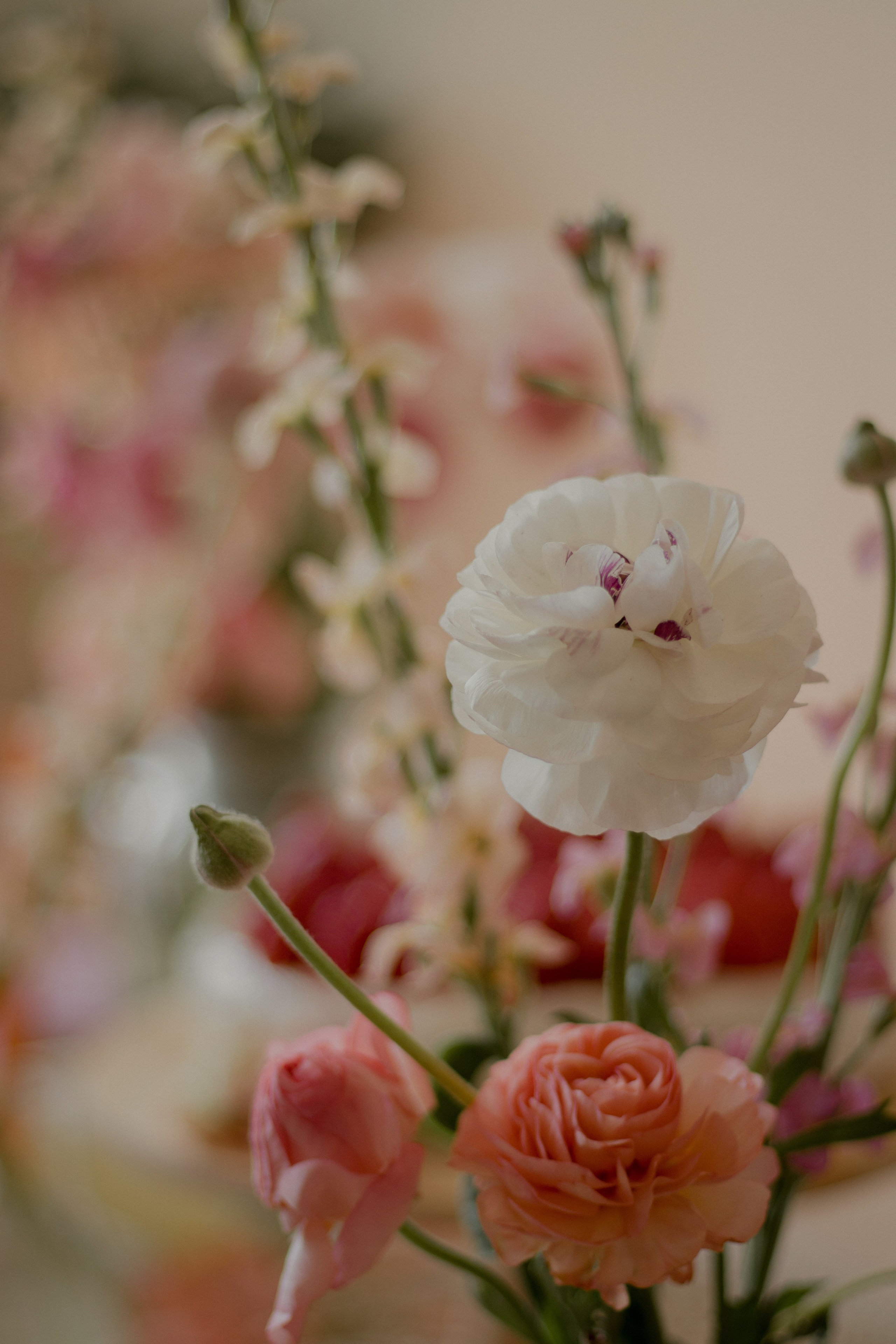 Алина & Виталий. Фотограф Краснодар Анастасия Епифанова