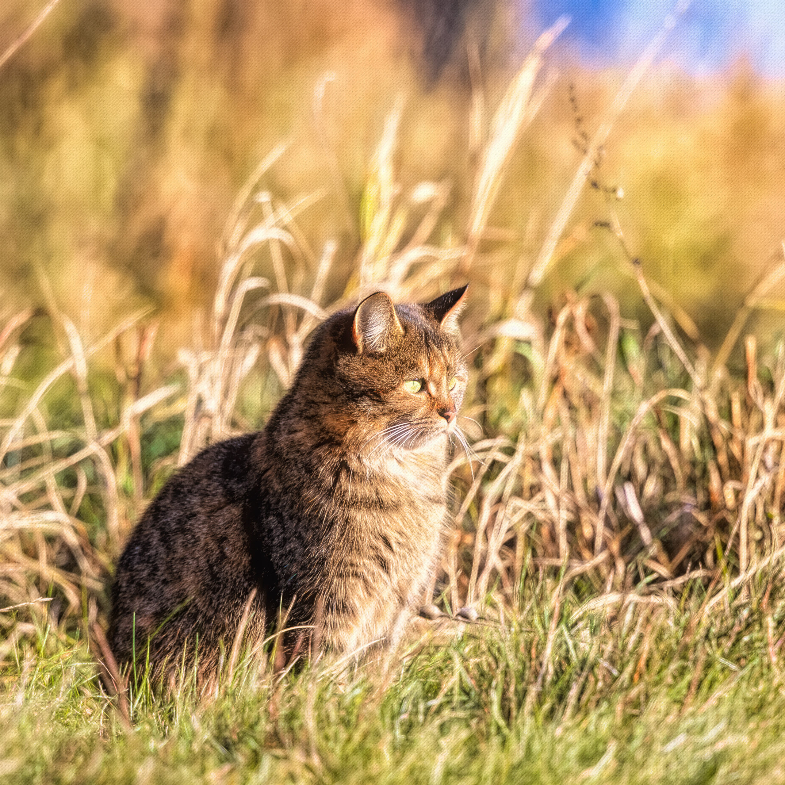 ПРИРОДА. Слепки времени. Фотографии природы и событий. Москва. Сергей Аллагулов