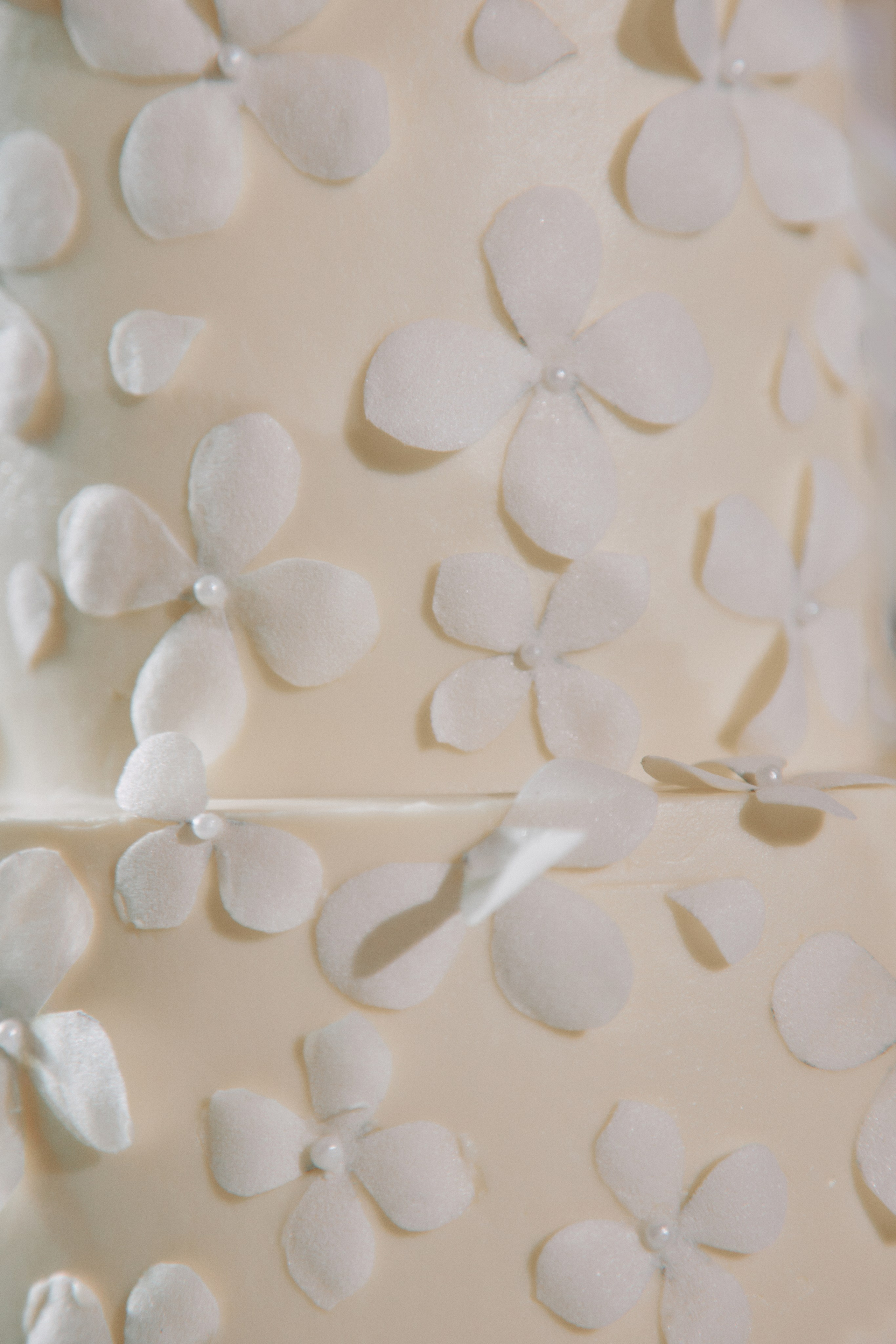 На цыпочках. Фотограф Елена Краснопевцева