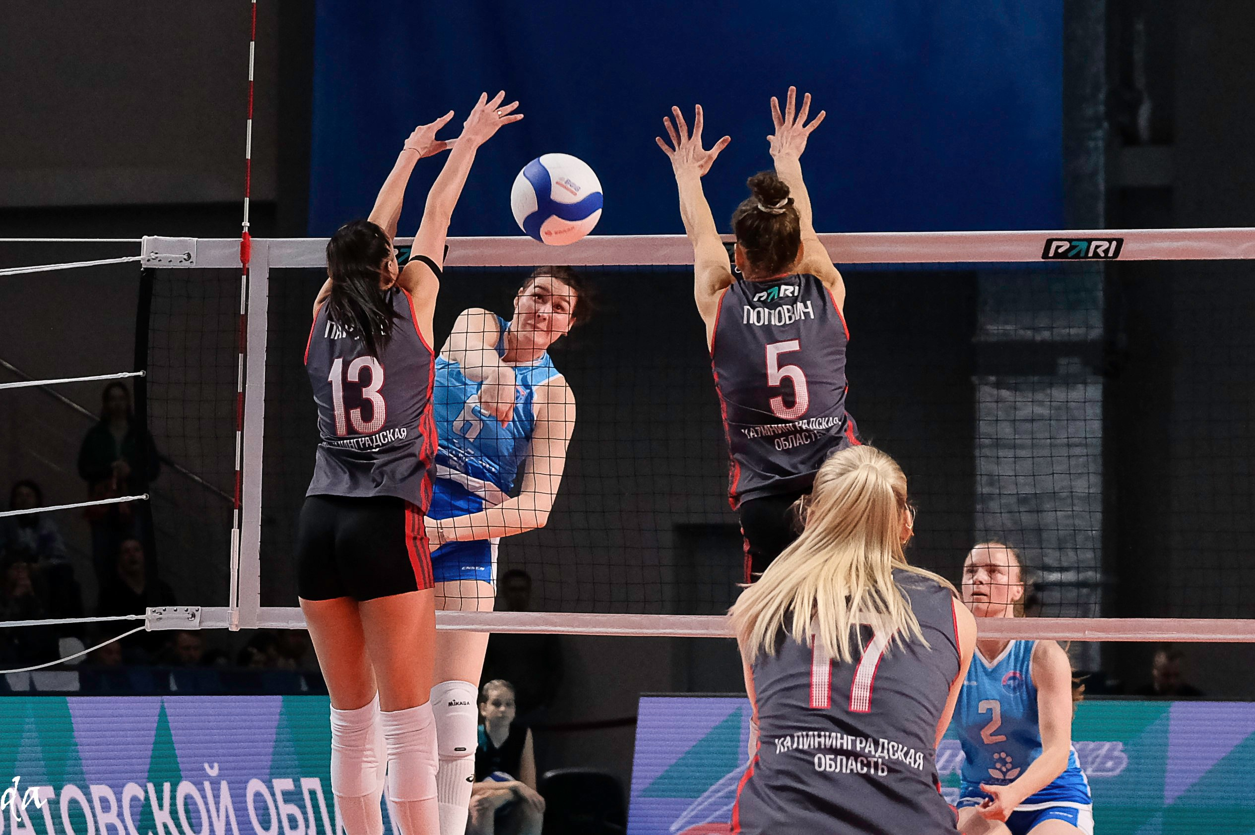 Фото волейбол женская Суперлига. Фотограф Дмитрий Алексеев