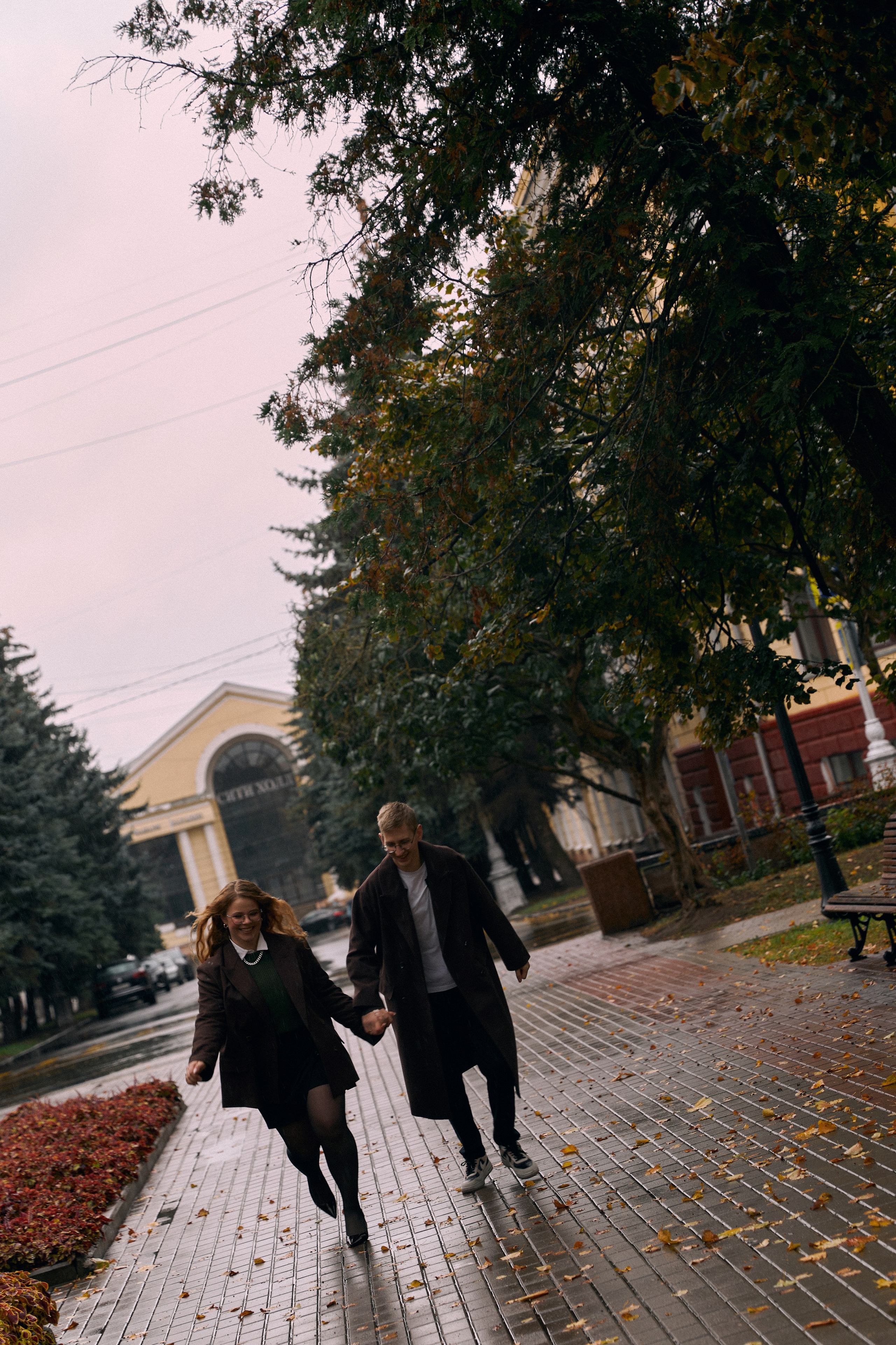 Подсолнухи