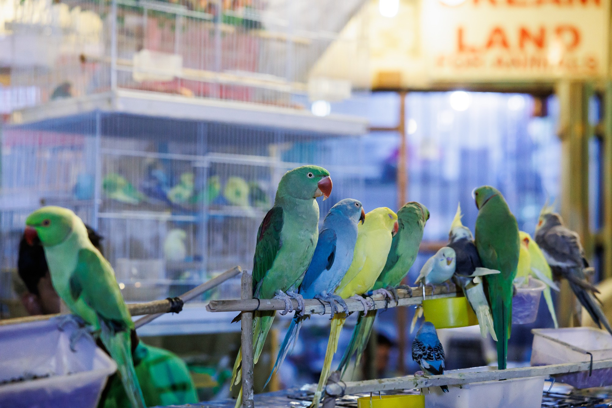 Корпоративный выезд в Qatar. Фотограф Дмитрий Елисеев