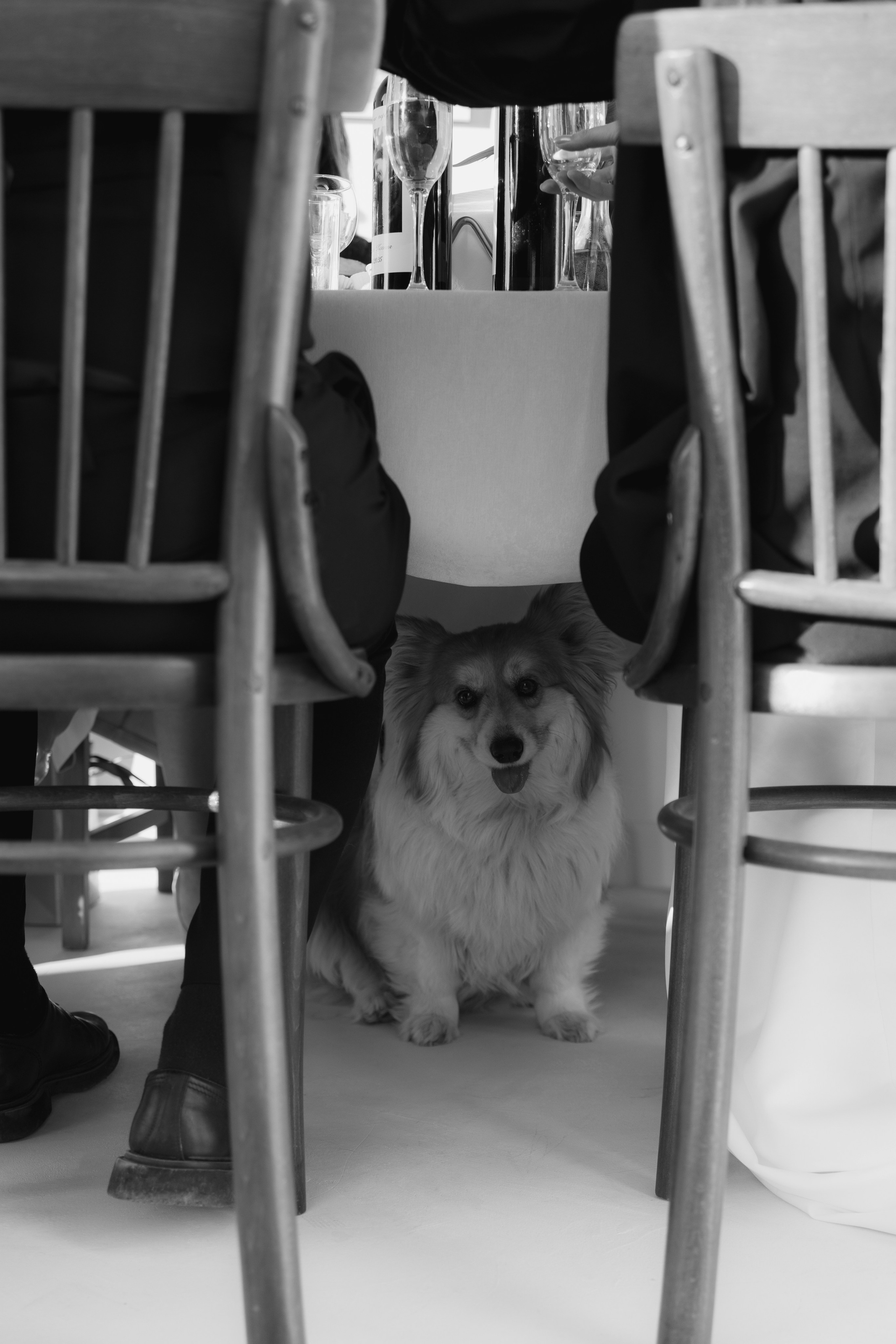 Вадим и Ксения. Свадебный и семейный фотограф в Анапе/Новороссийске Виктория Чайка